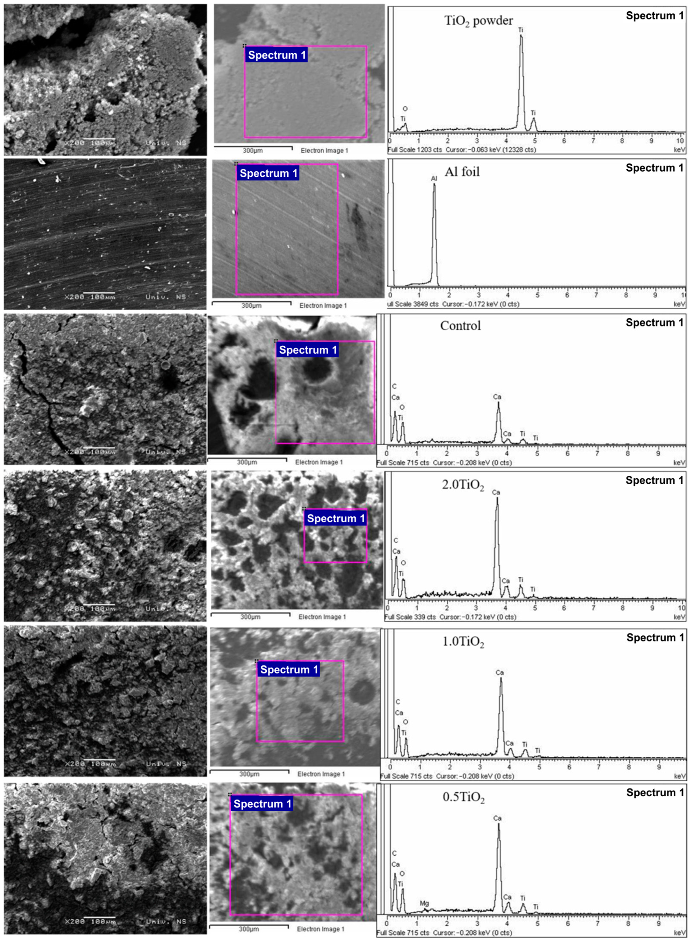 Inorganics 12 00035 g001