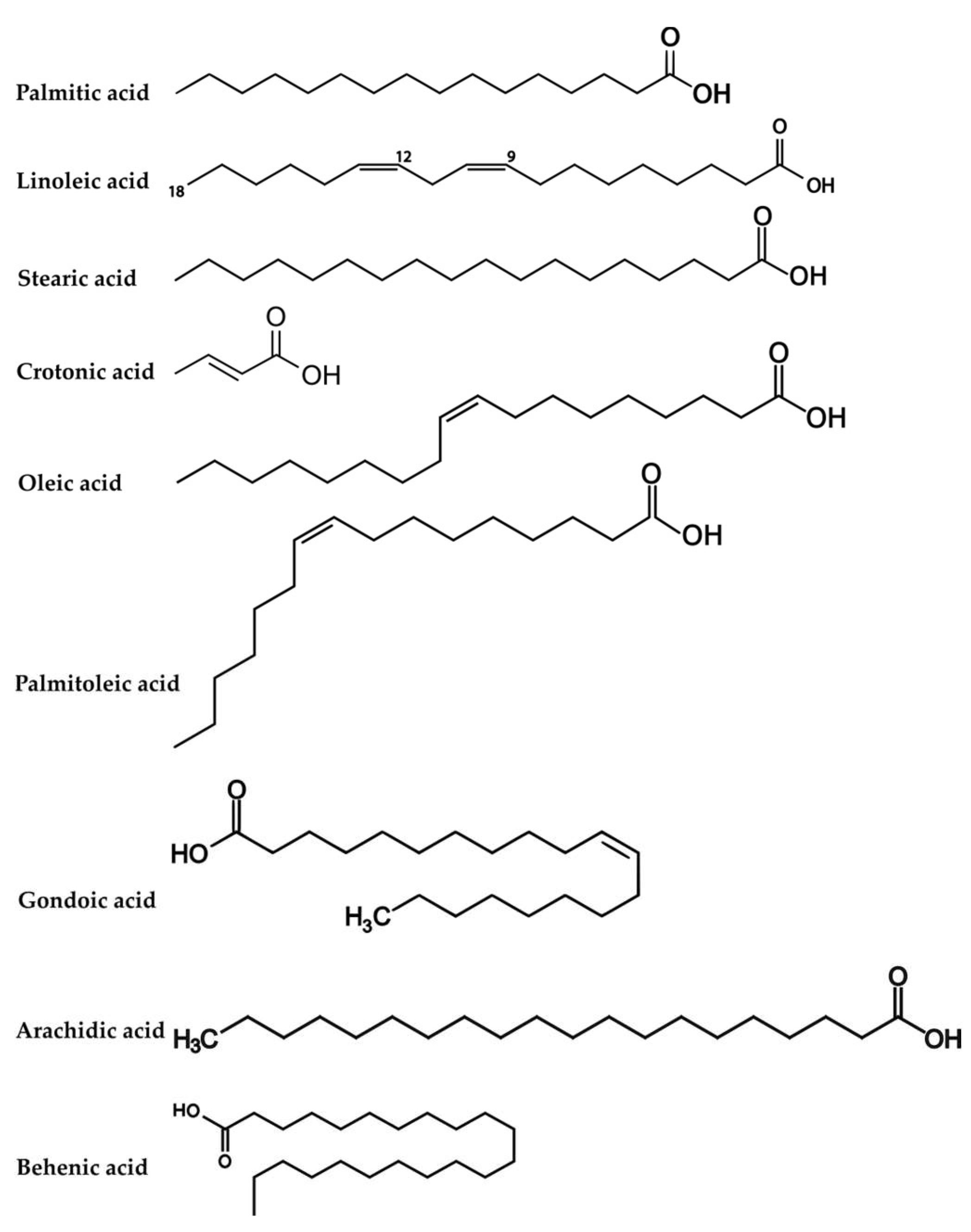 Inorganics 12 00109 g002