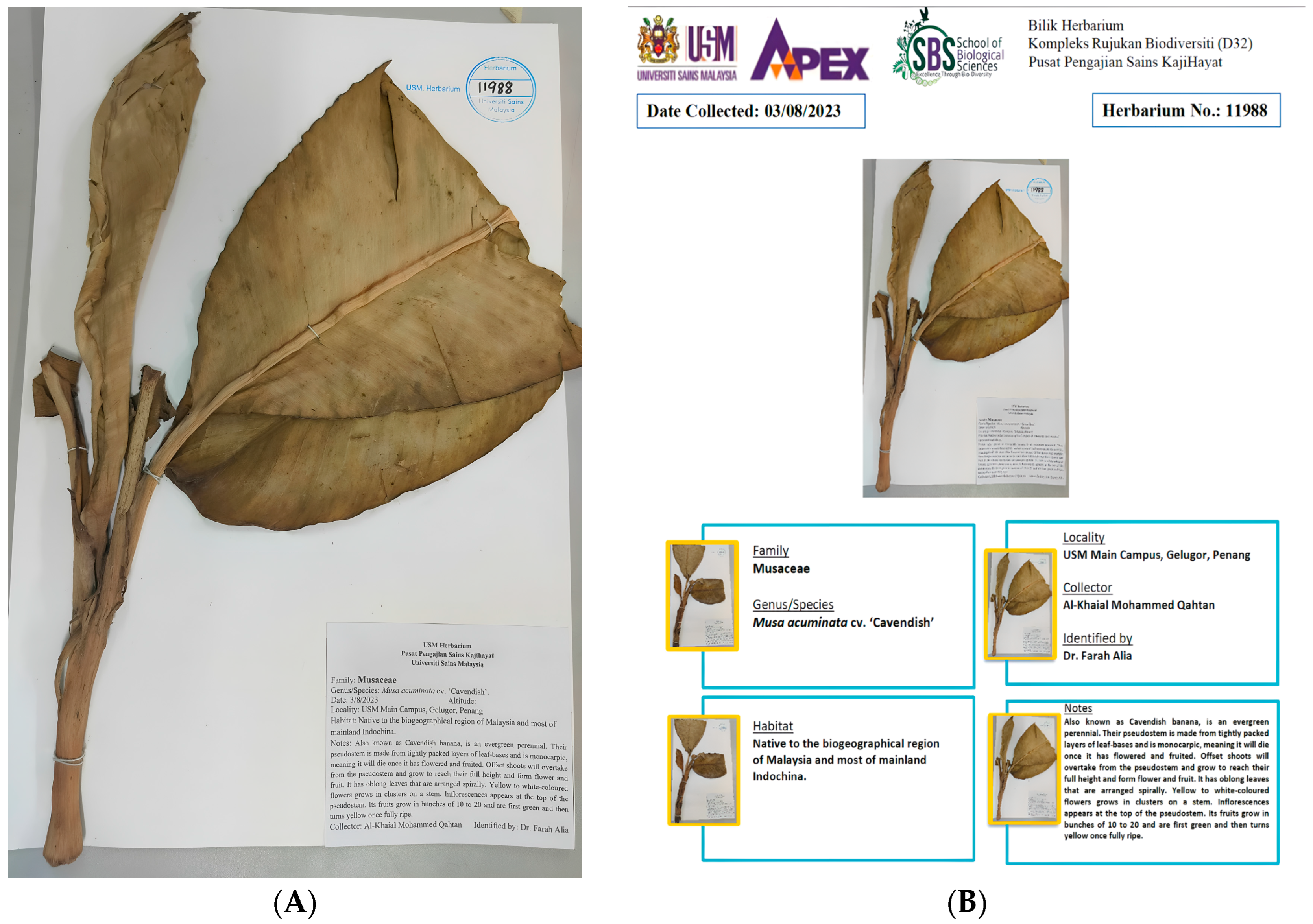 Inorganics 12 00121 g001