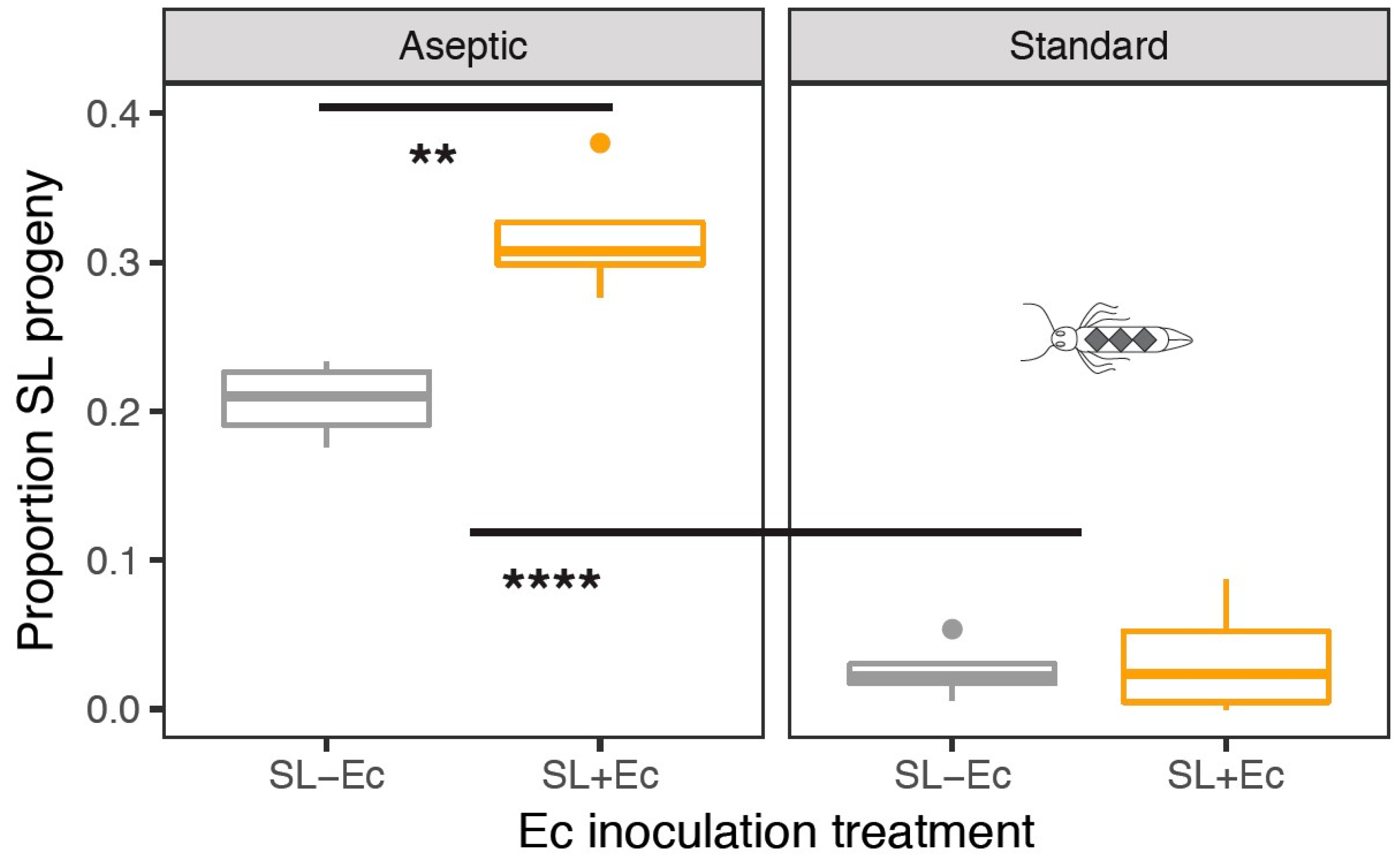Insects 10 00089 g004