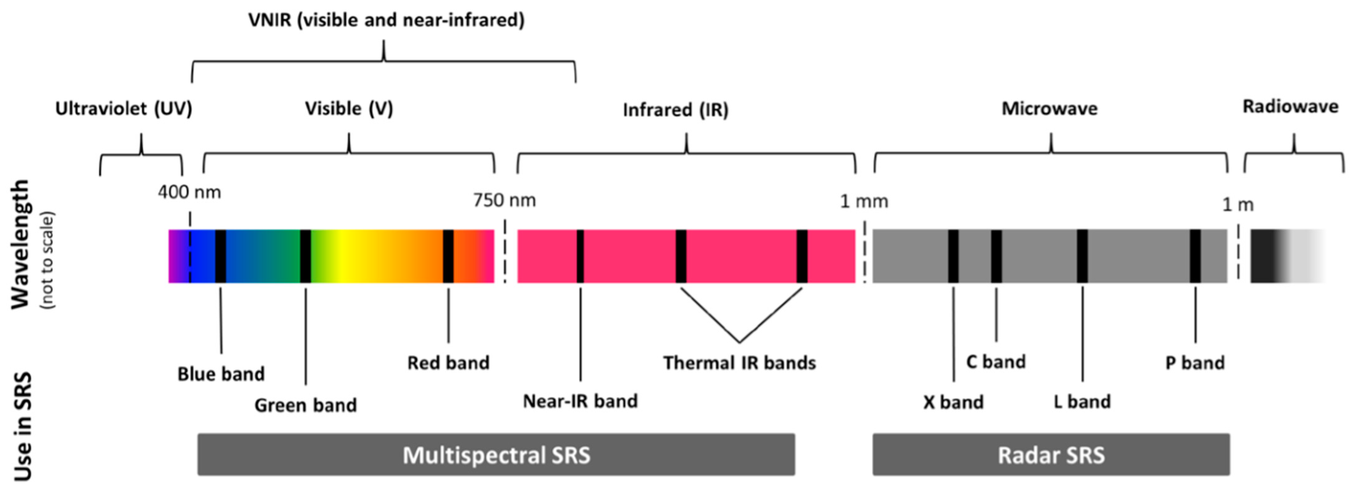 Insects 12 00233 g002