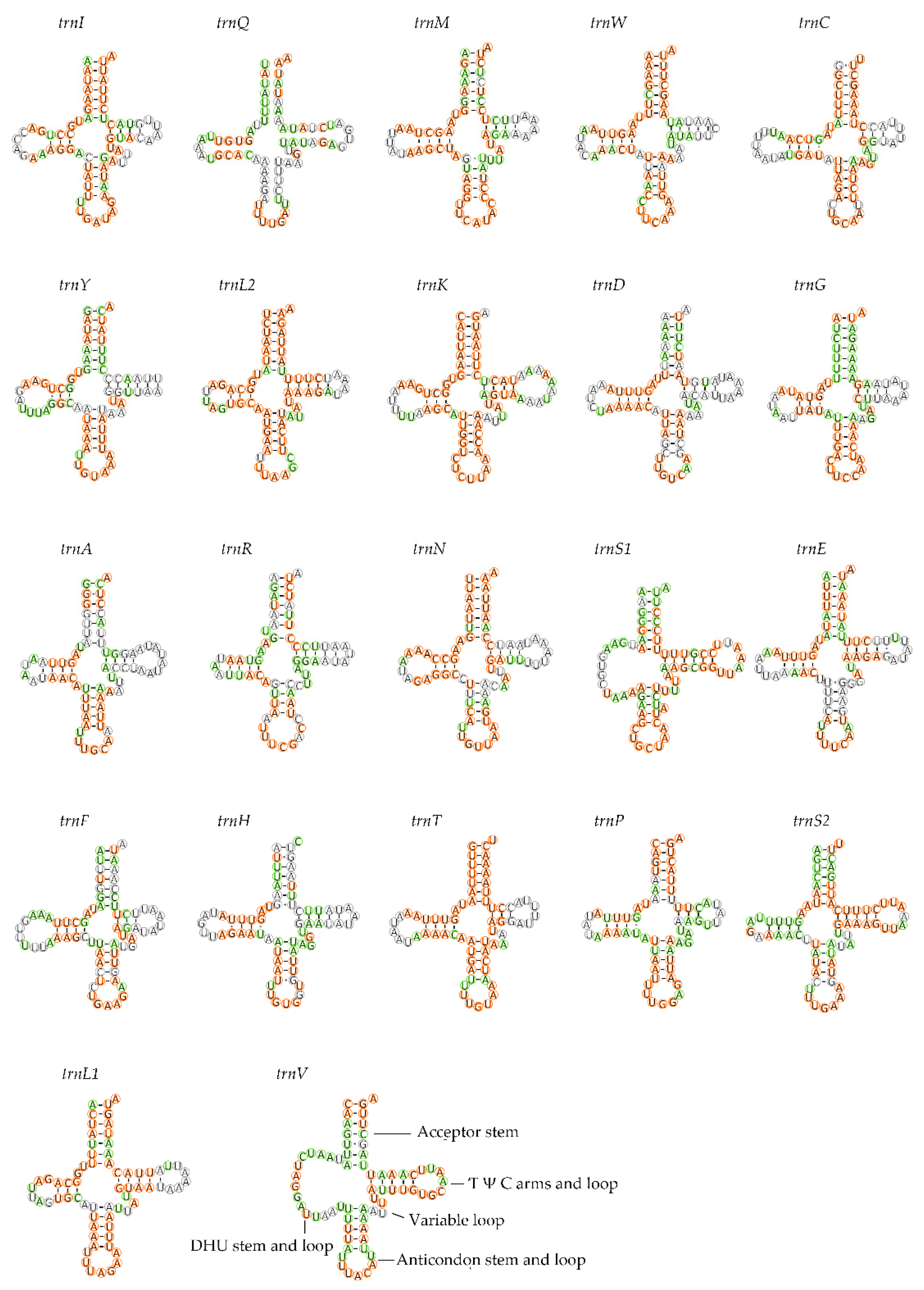 Insects 12 00597 g004
