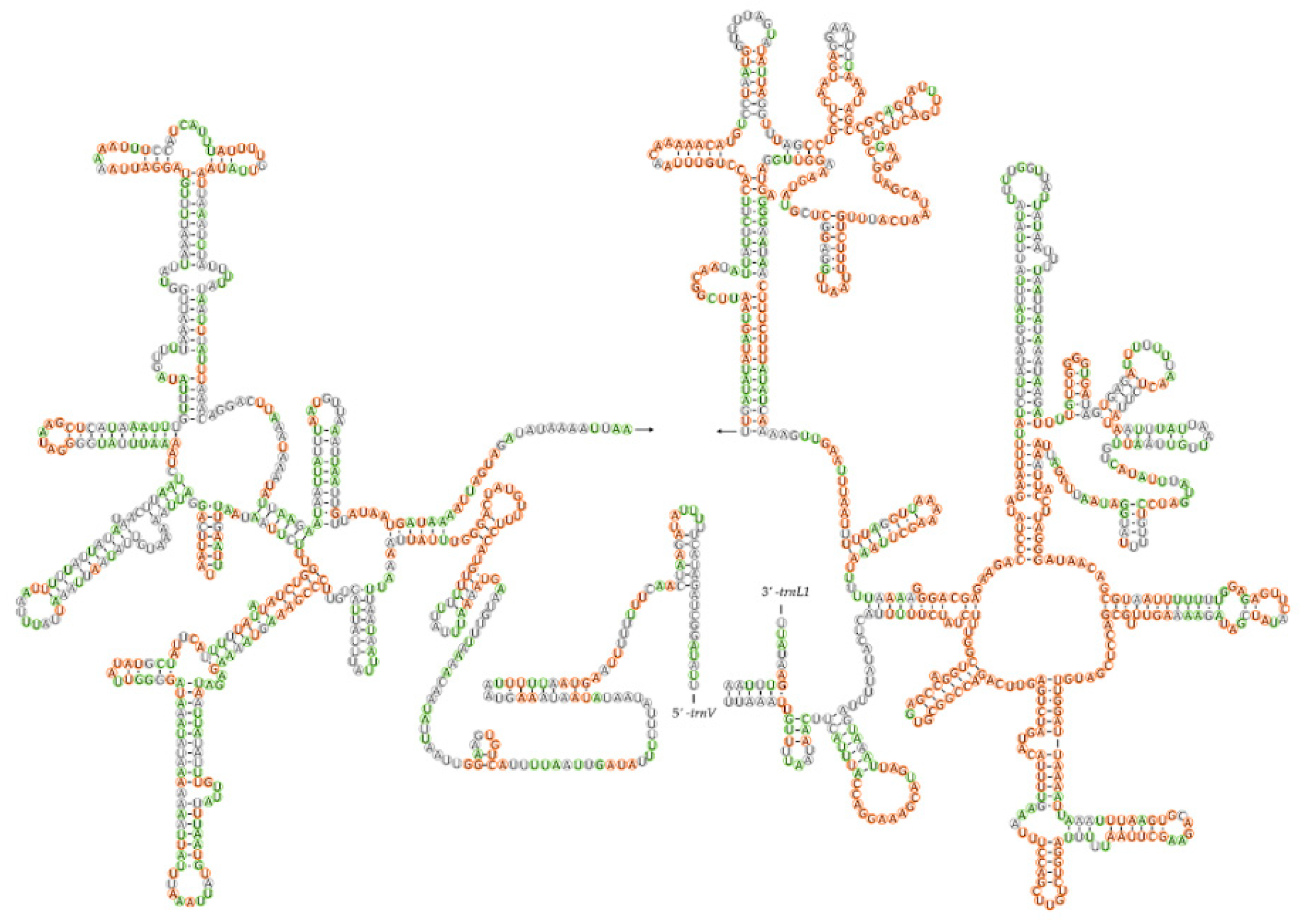 Insects 12 00597 g005