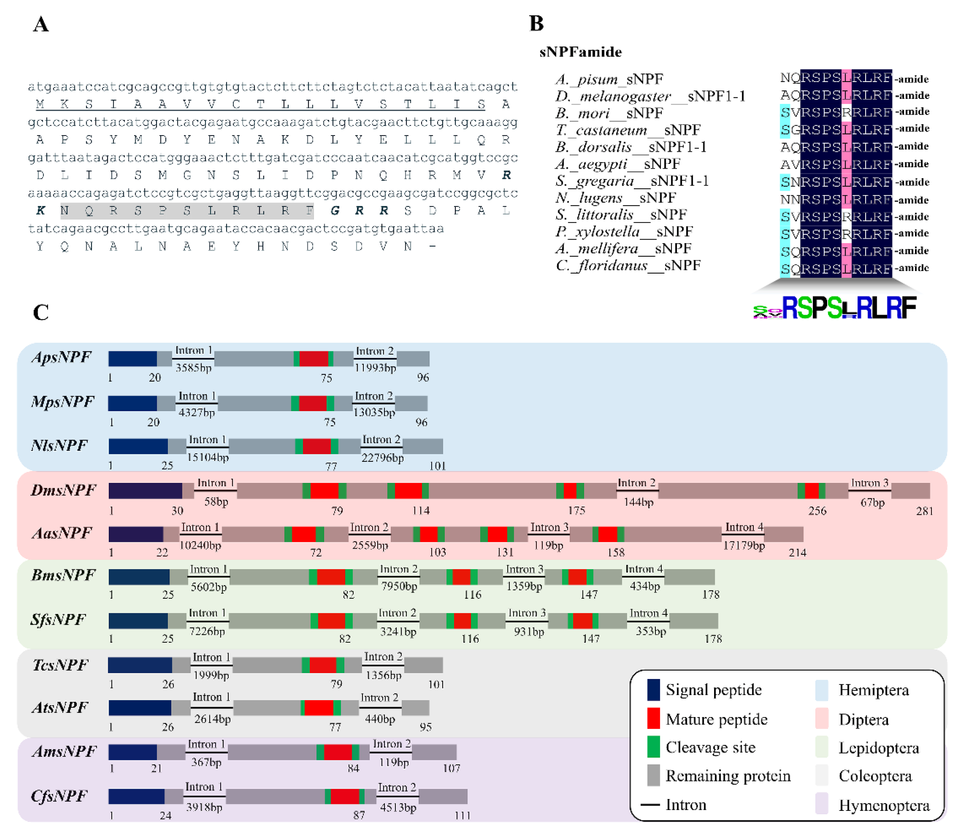 Insects 13 00282 g001