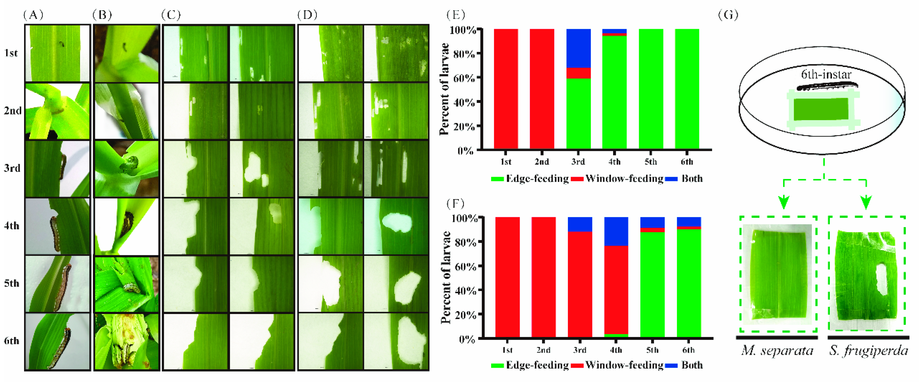 Insects 13 00594 g001 Insects 13 00594 g001