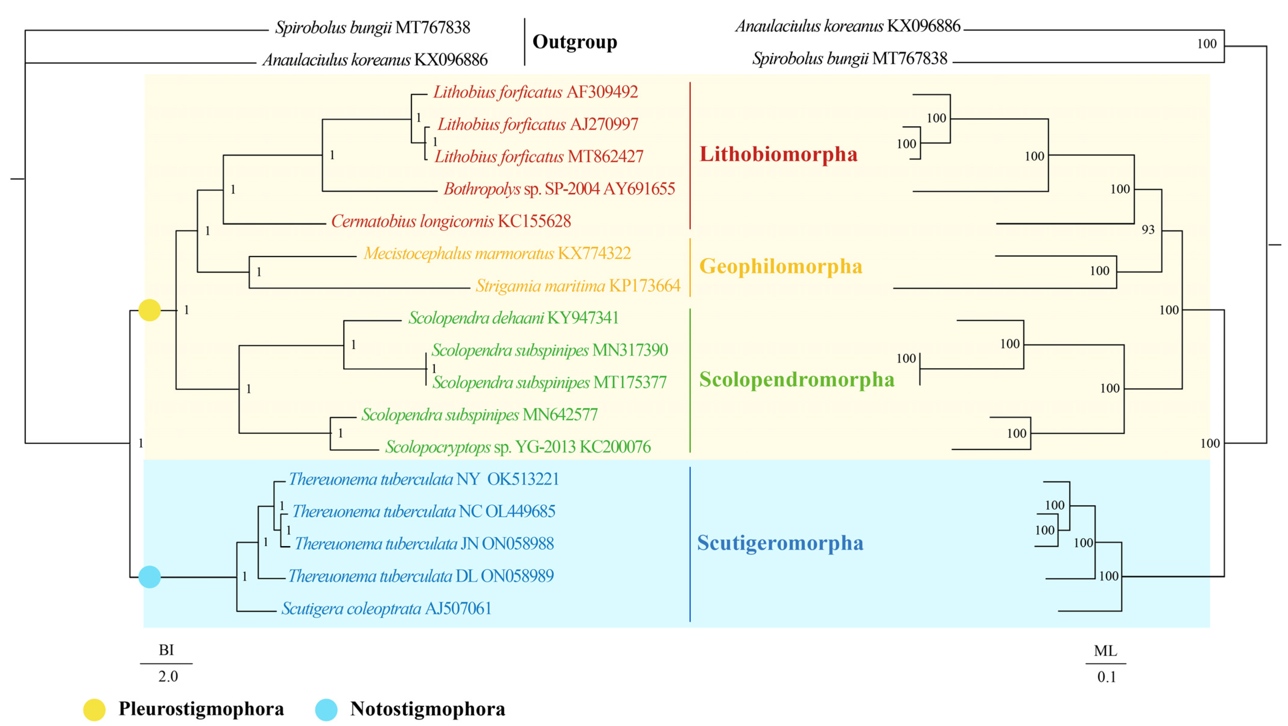 Insects 13 00620 g004