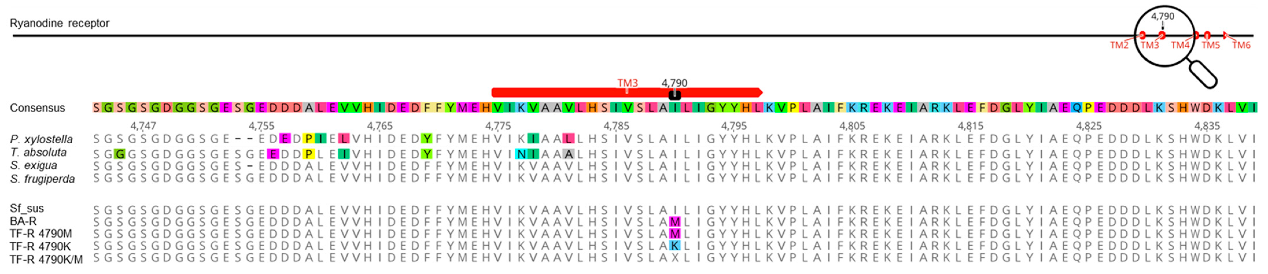 Insects 13 00626 g003