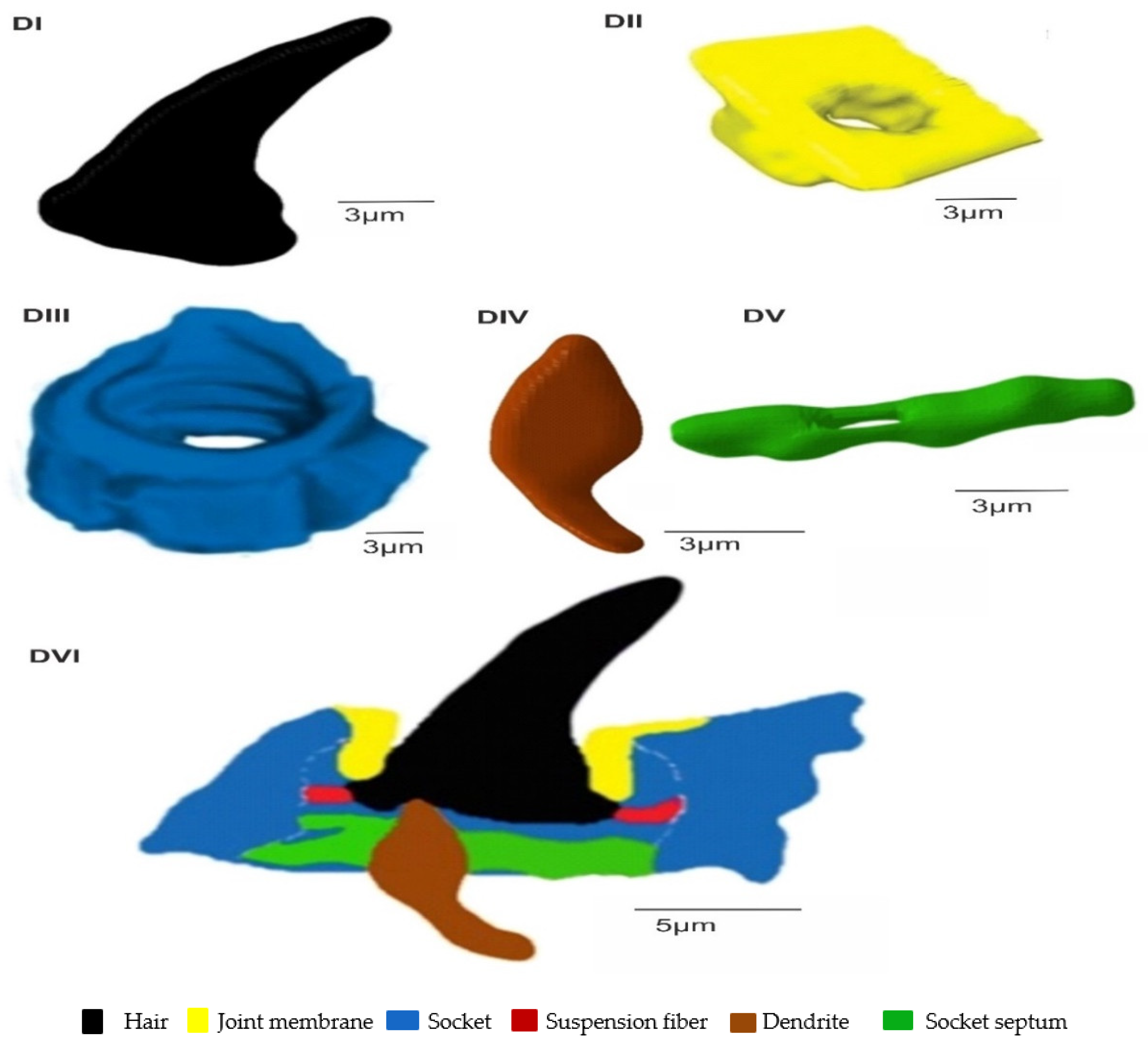 Insects 13 00799 g008