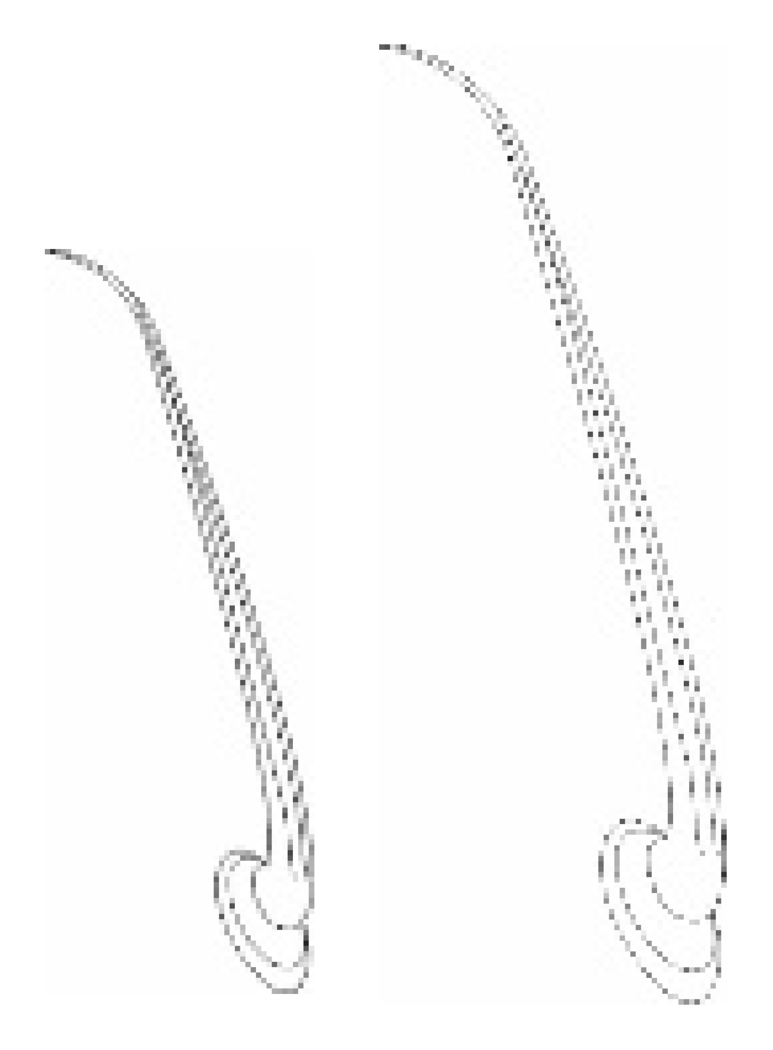 Insects 13 00799 i001