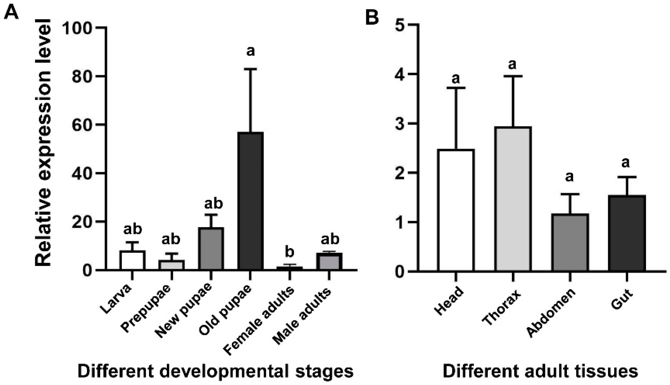 Insects 13 00832 g002