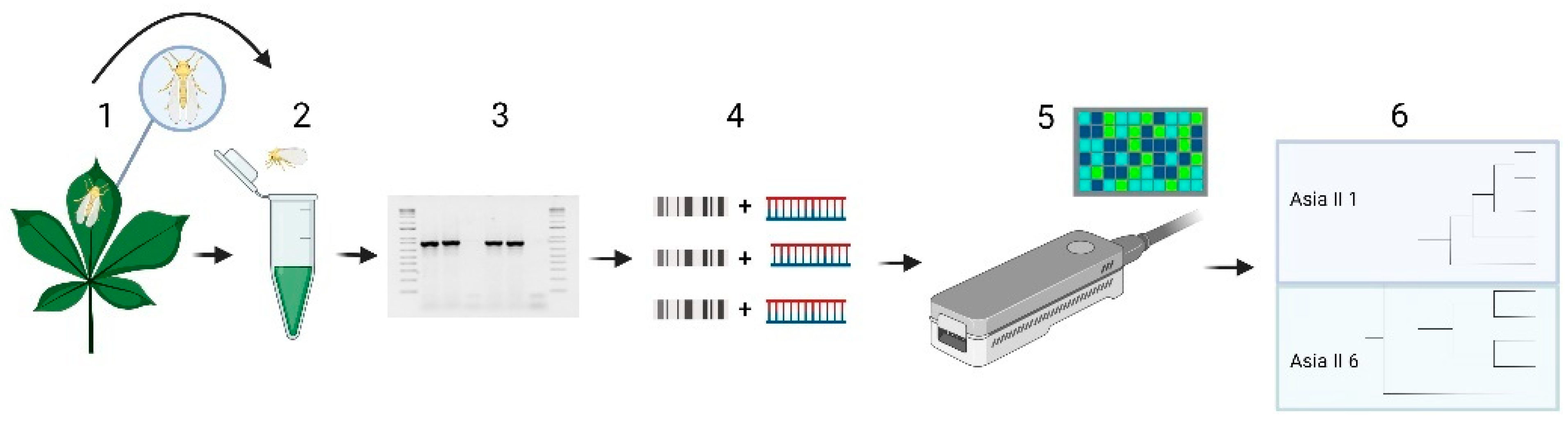 Insects 13 00861 g001