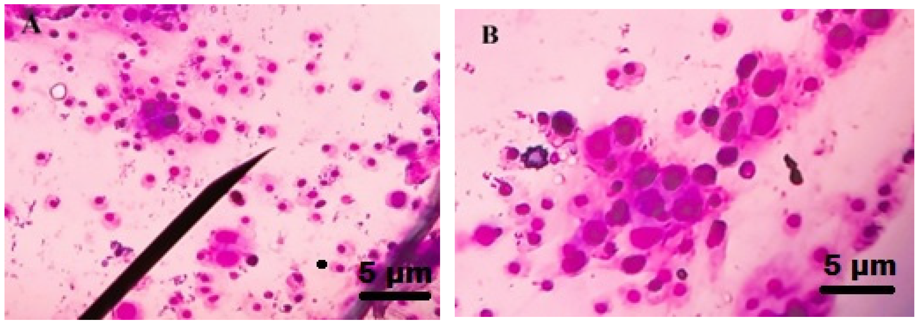 Insects 13 01030 g005