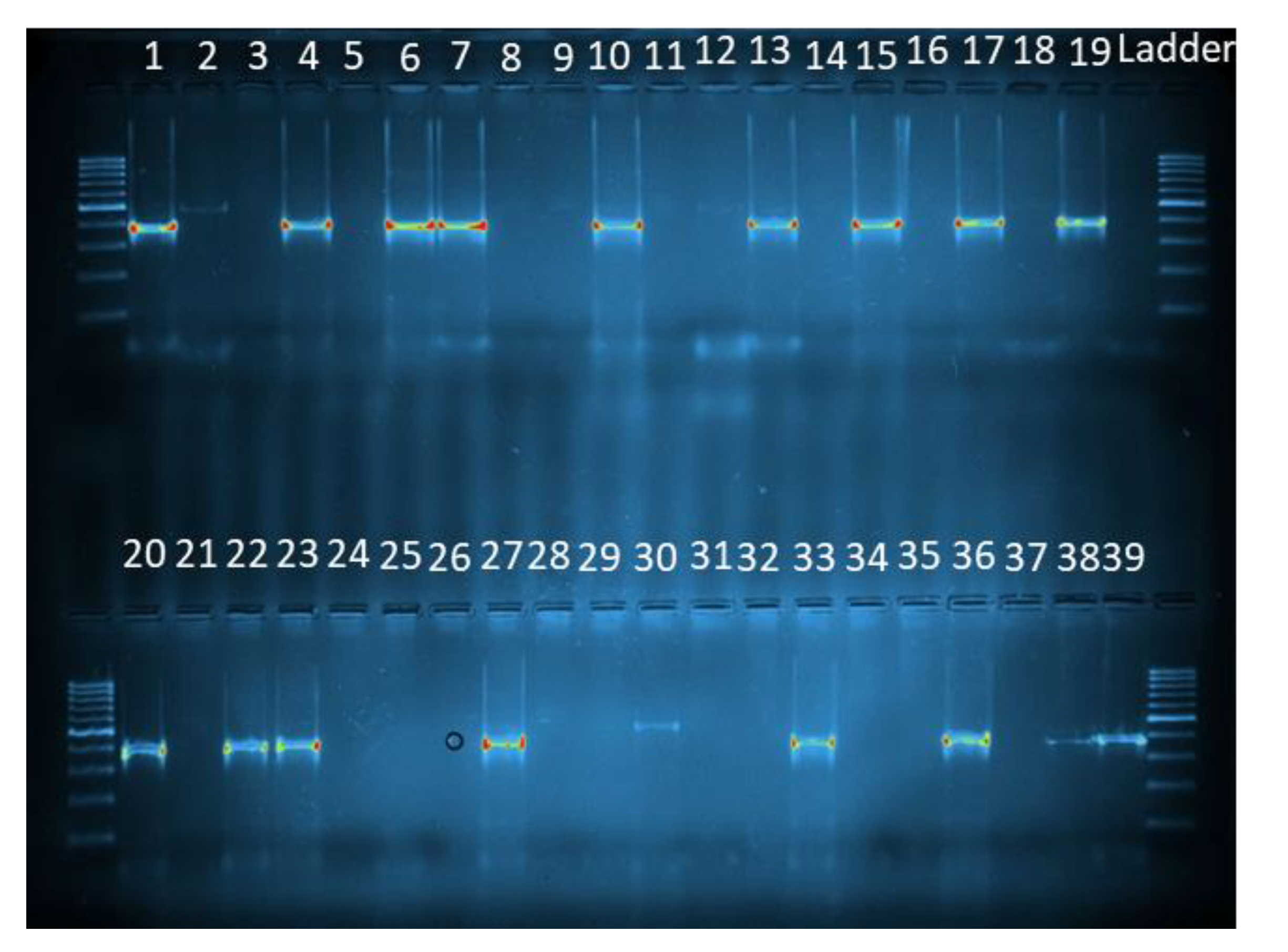 Insects 14 00231 g004