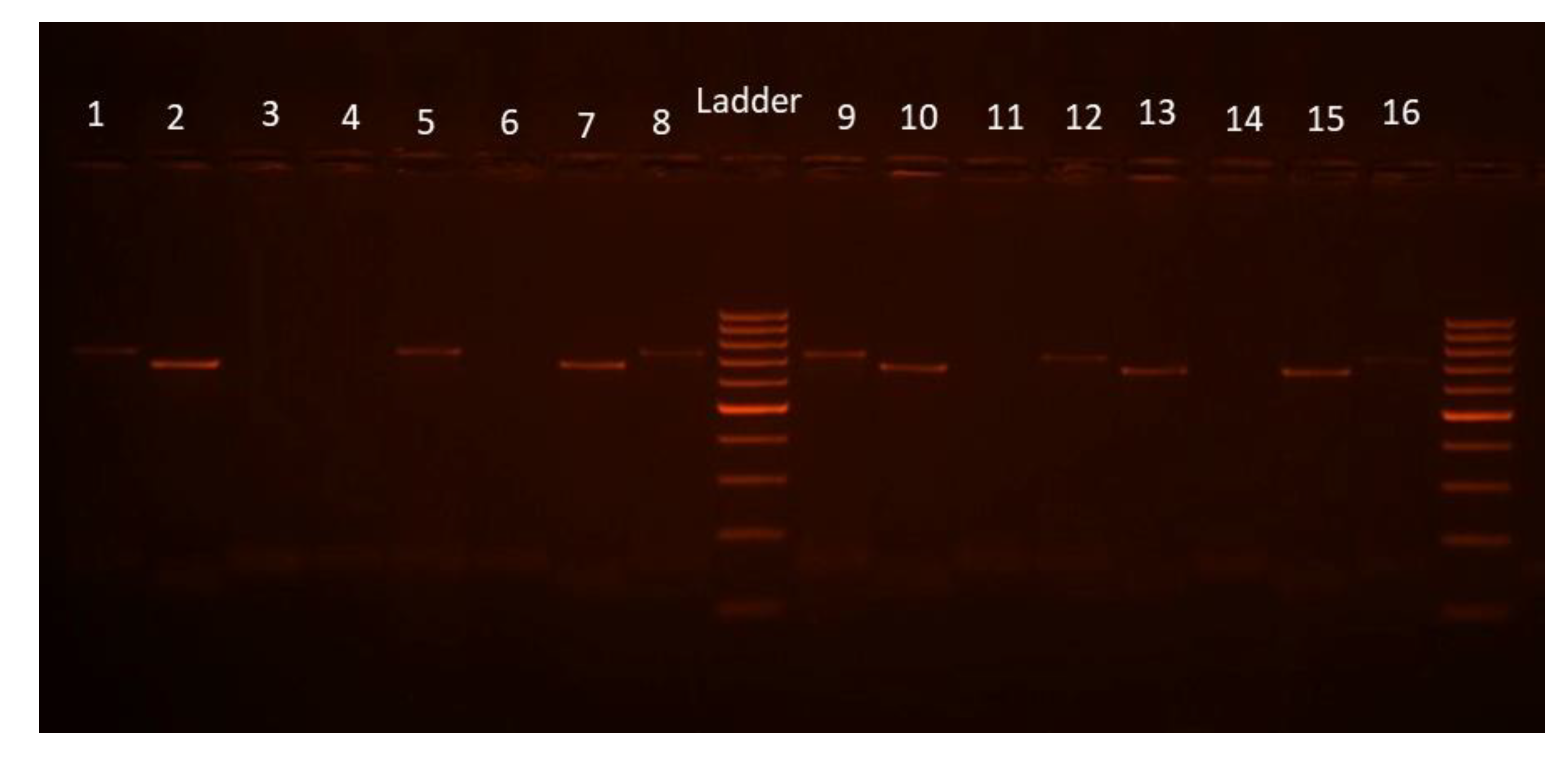 Insects 14 00231 g005