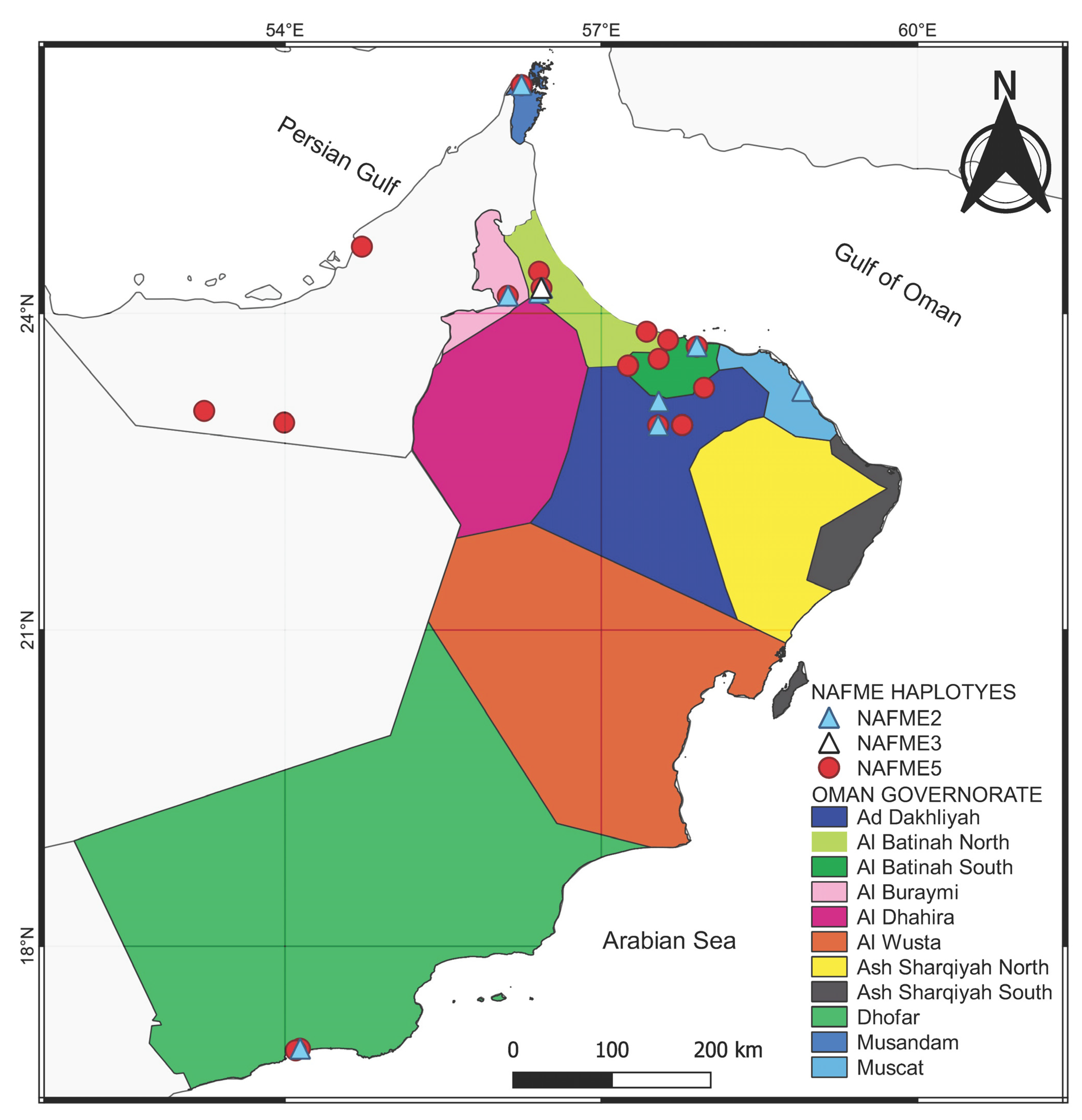 Insects 14 00268 g002