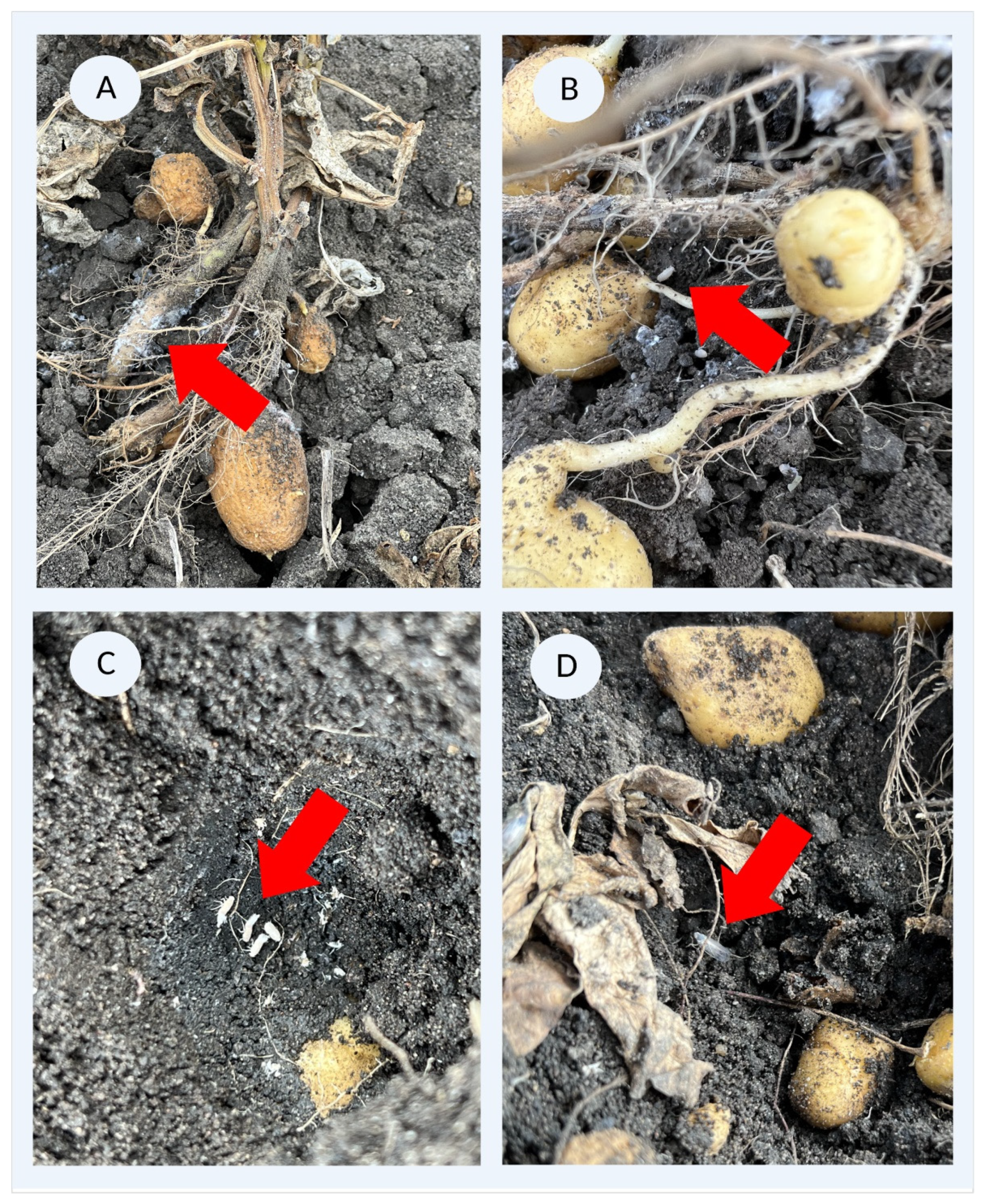 Insects 14 00281 g001 Insects 14 00281 g001