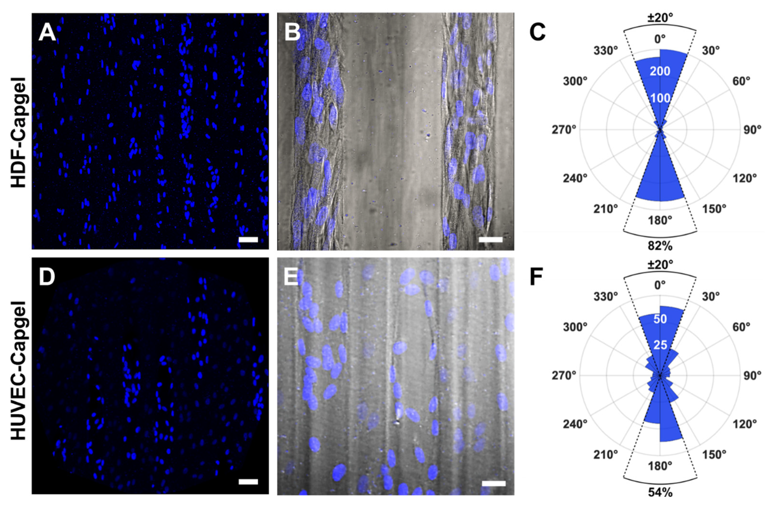 Insects 14 00514 g005