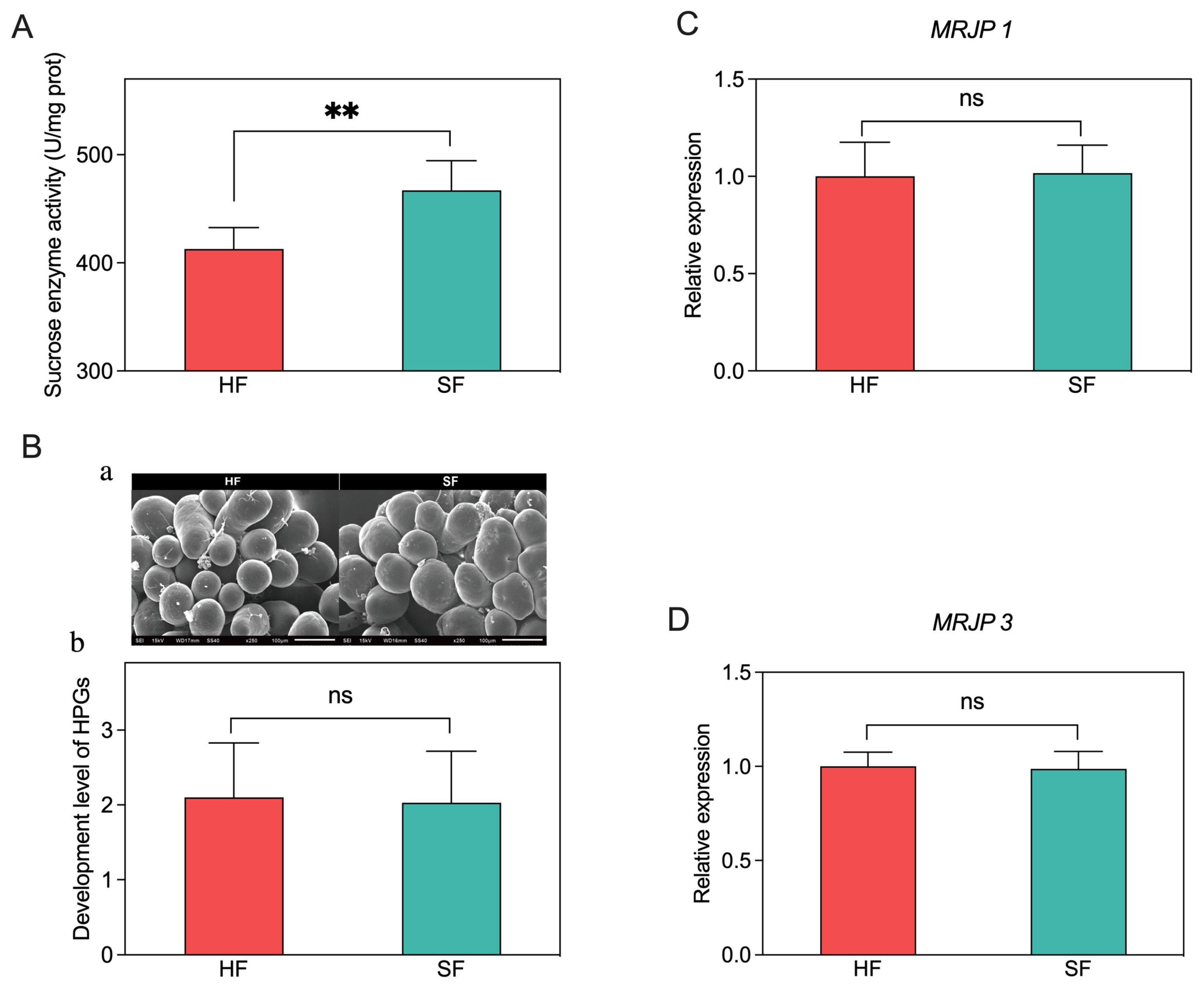 Insects 14 00742 g004