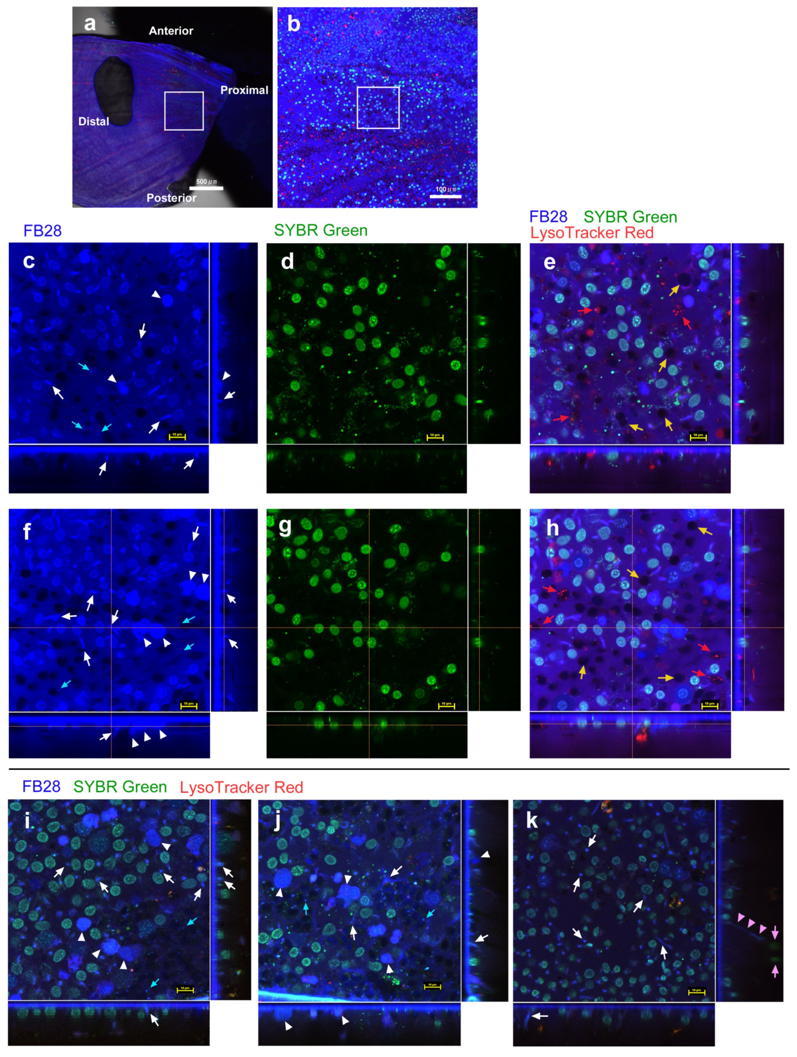 Insects 14 00753 g001