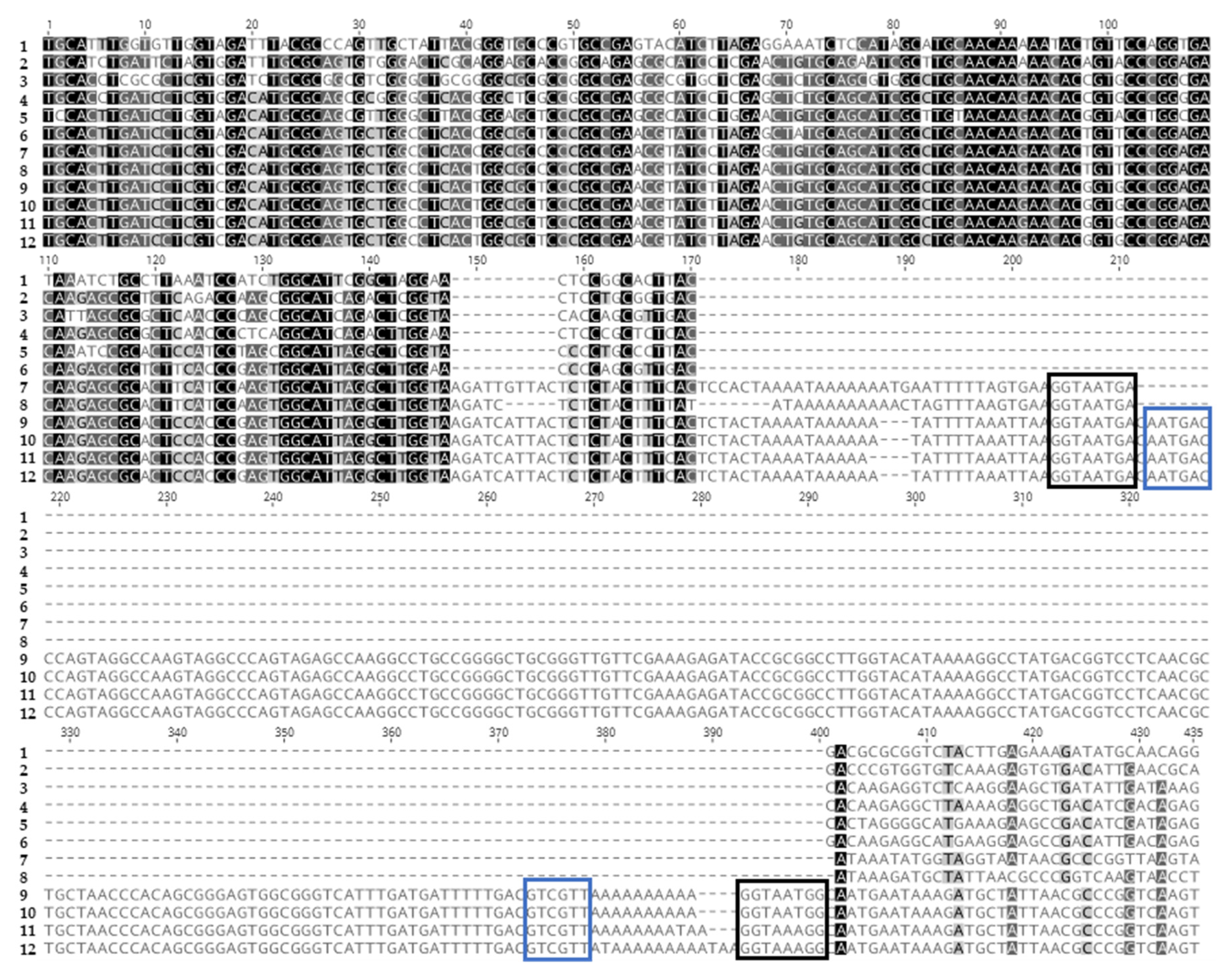 Insects 14 00797 g006