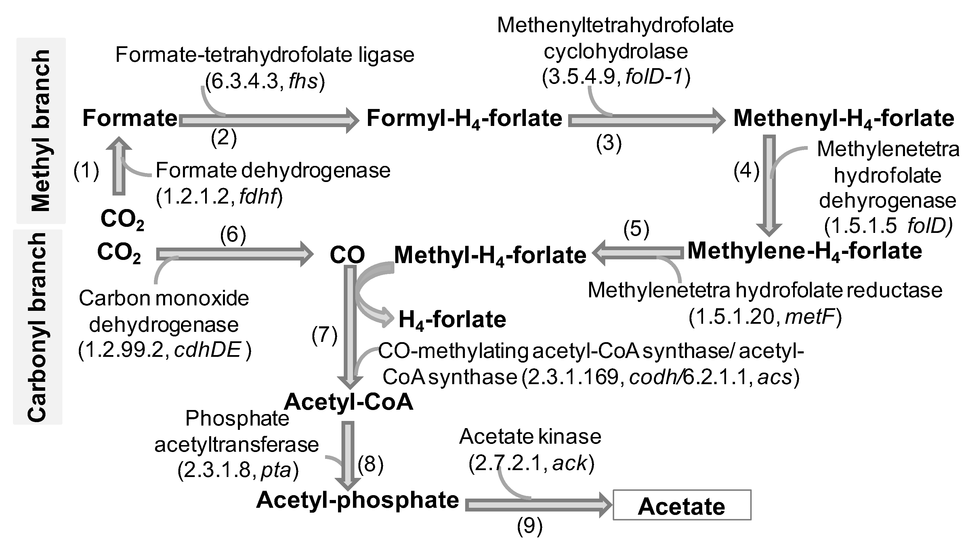 Insects 14 00832 g004