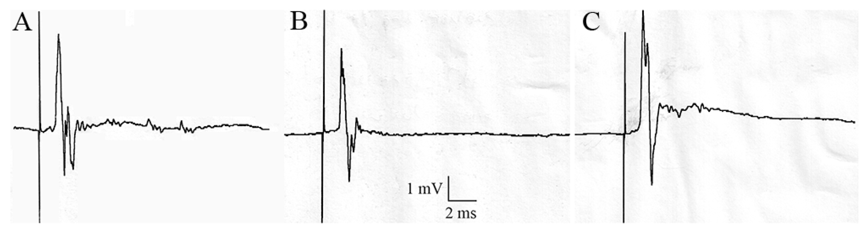 Insects 15 00054 g007