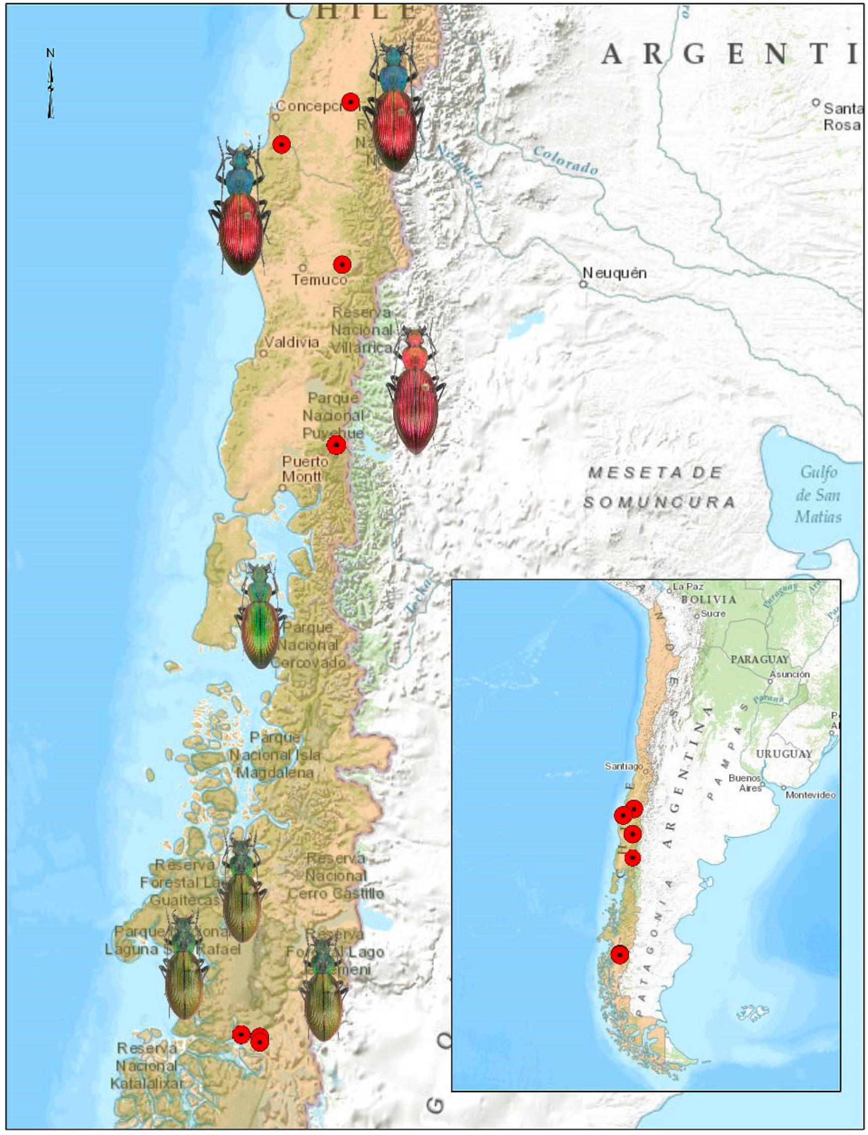 Insects 15 00097 g001 Insects 15 00097 g001