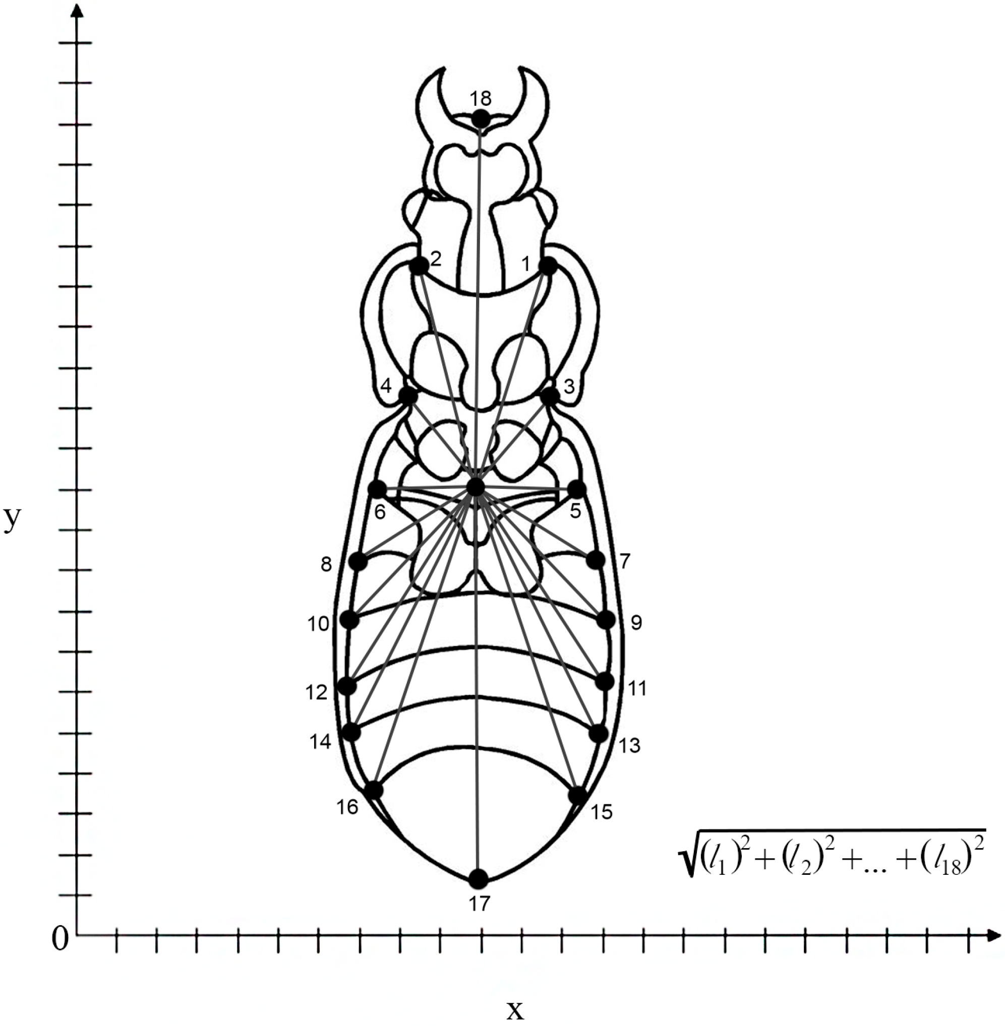 Insects 15 00097 g002 Insects 15 00097 g002