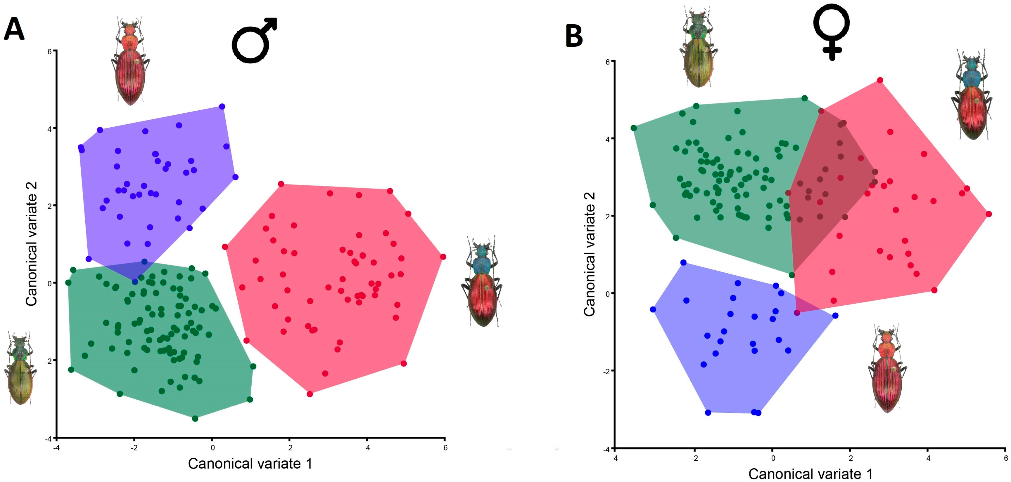 Insects 15 00097 g005 Insects 15 00097 g005