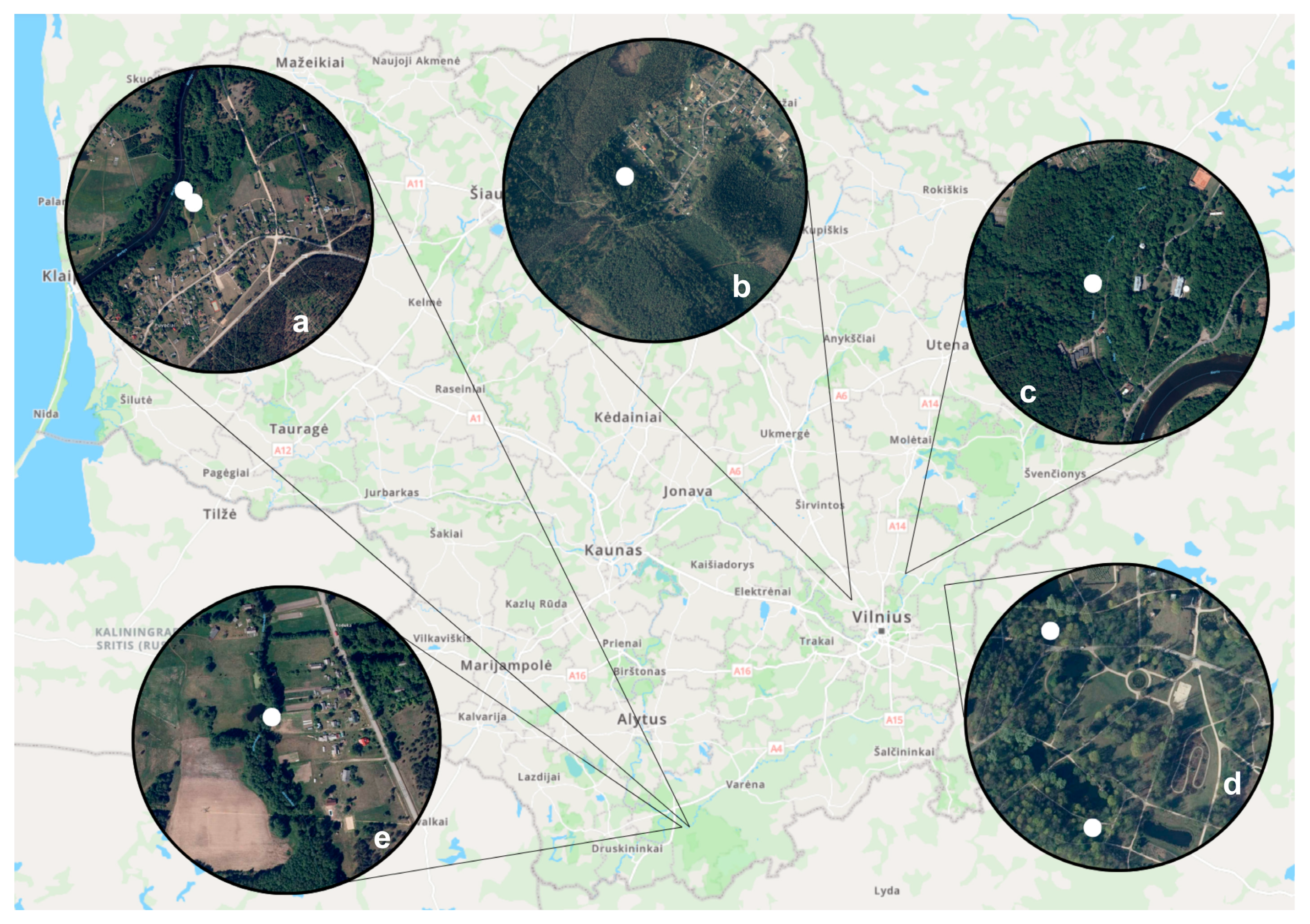 Insects 15 00157 g001