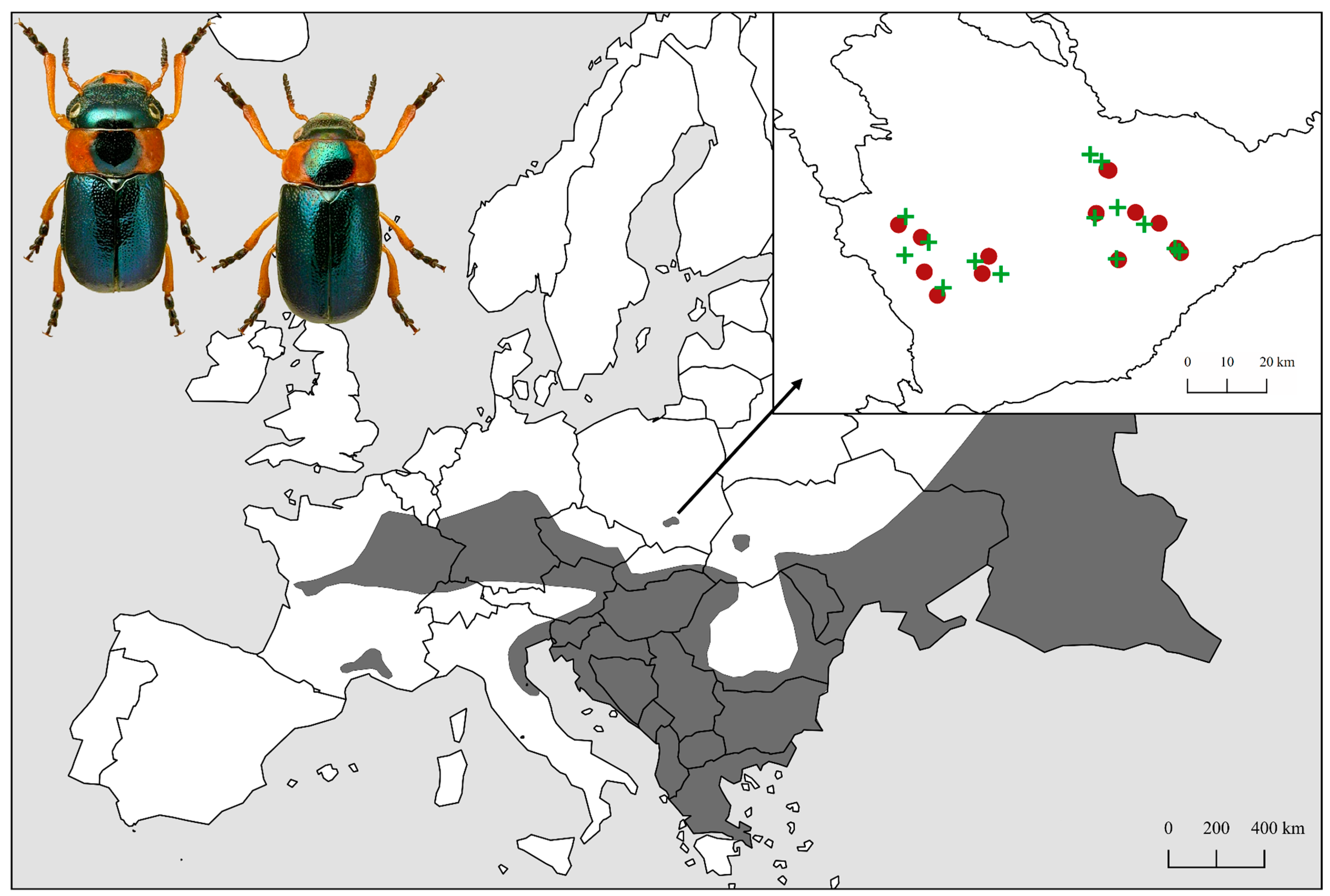 Insects 15 00307 g001