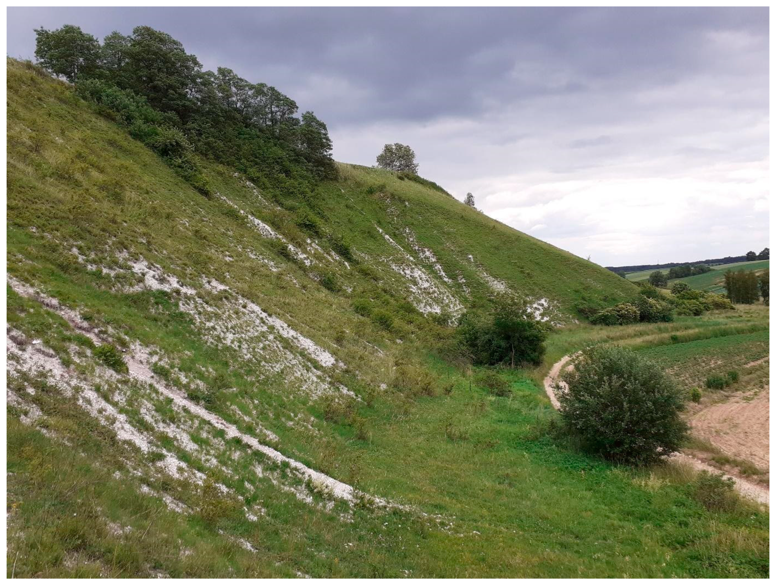 Insects 15 00307 g003