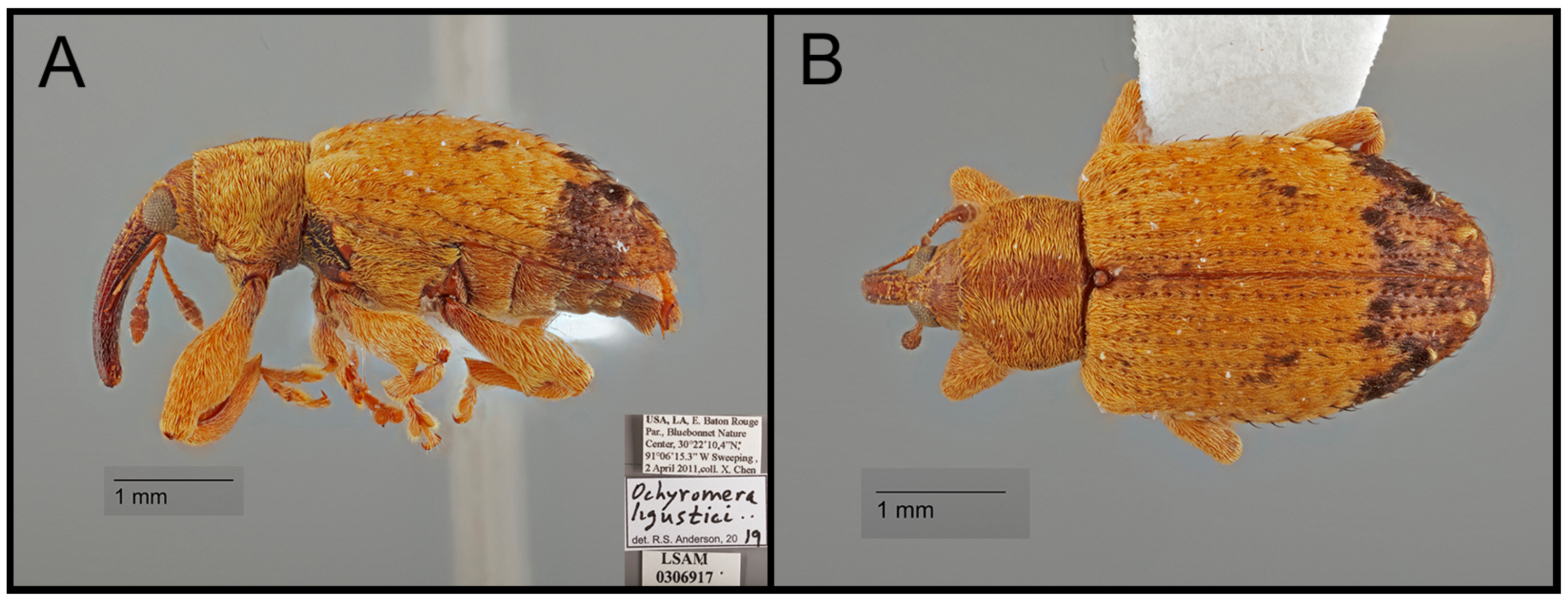 Insects 15 00320 g001