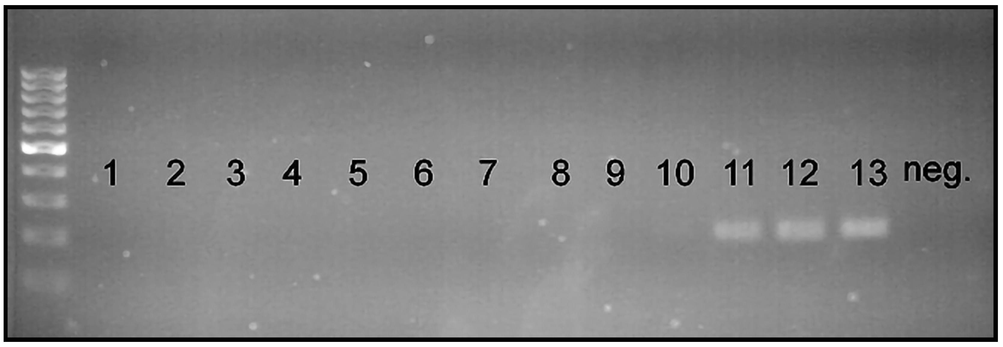 Insects 15 00320 g006