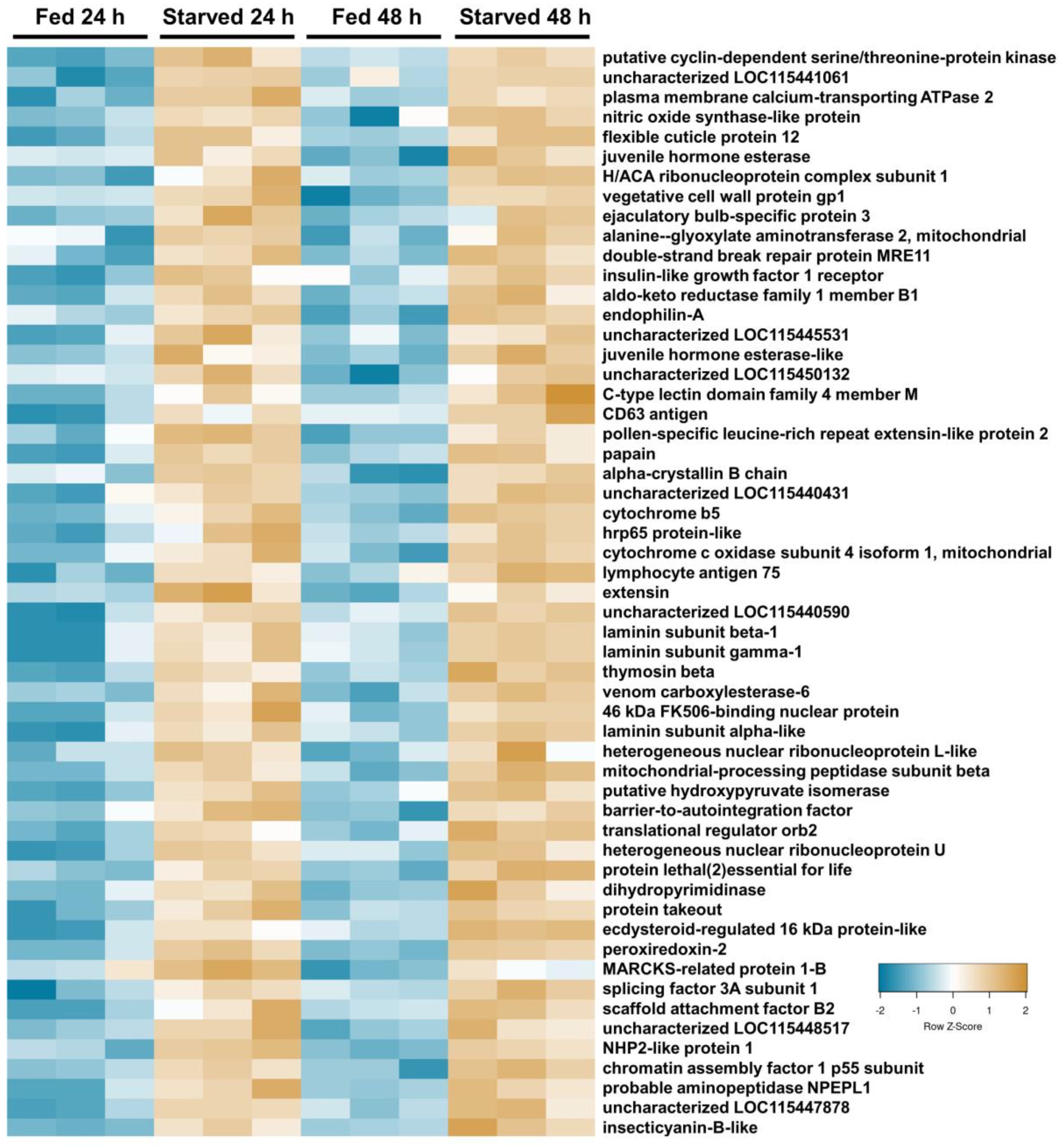 Insects 15 00325 g003