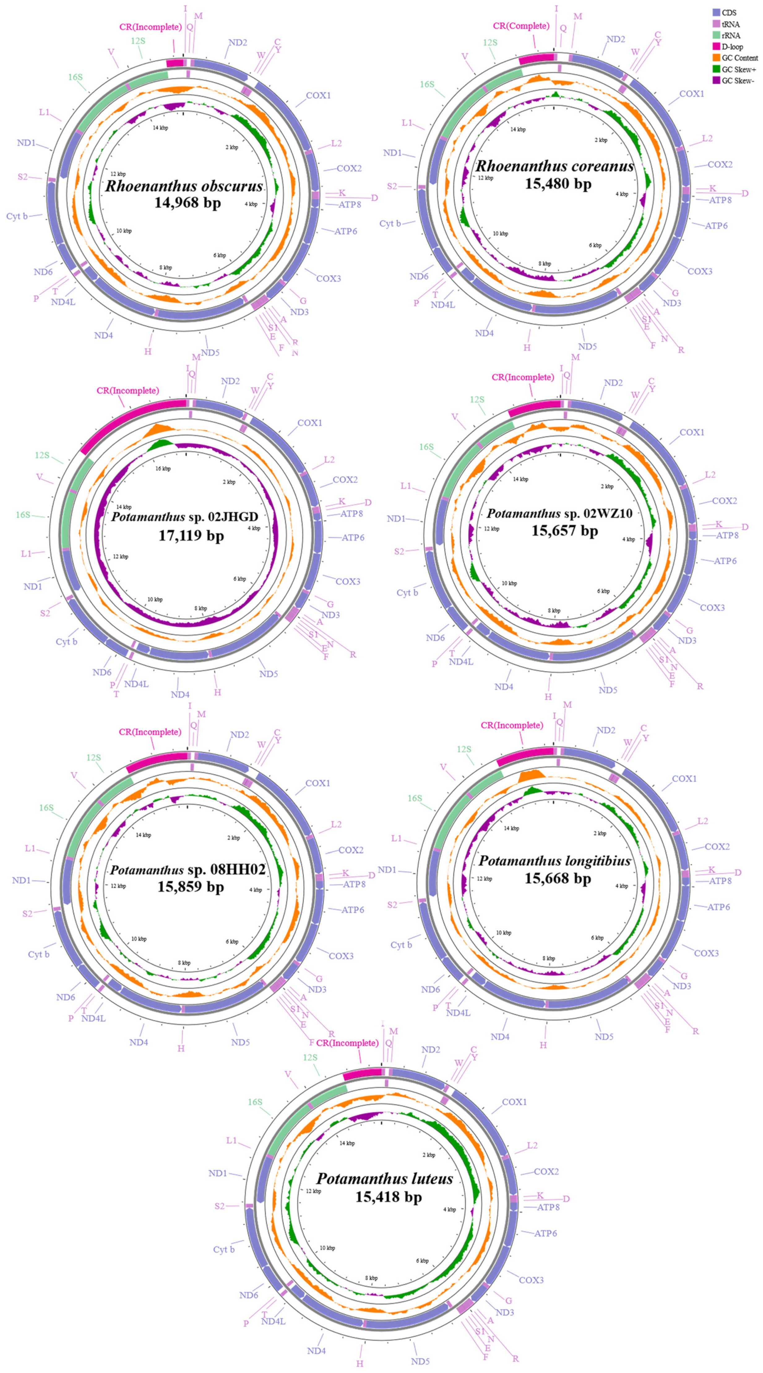 Insects 15 00357 g001
