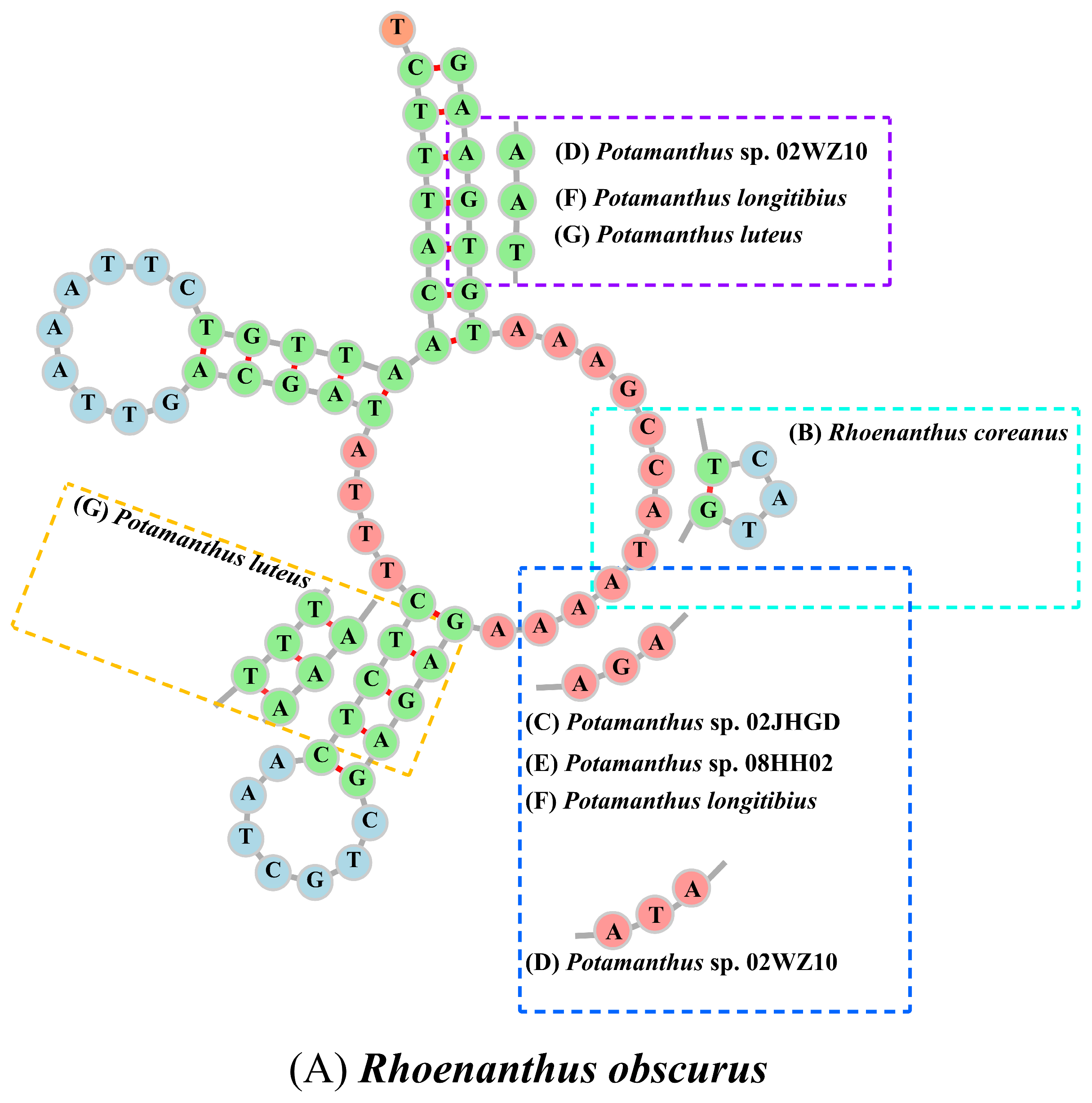 Insects 15 00357 g002