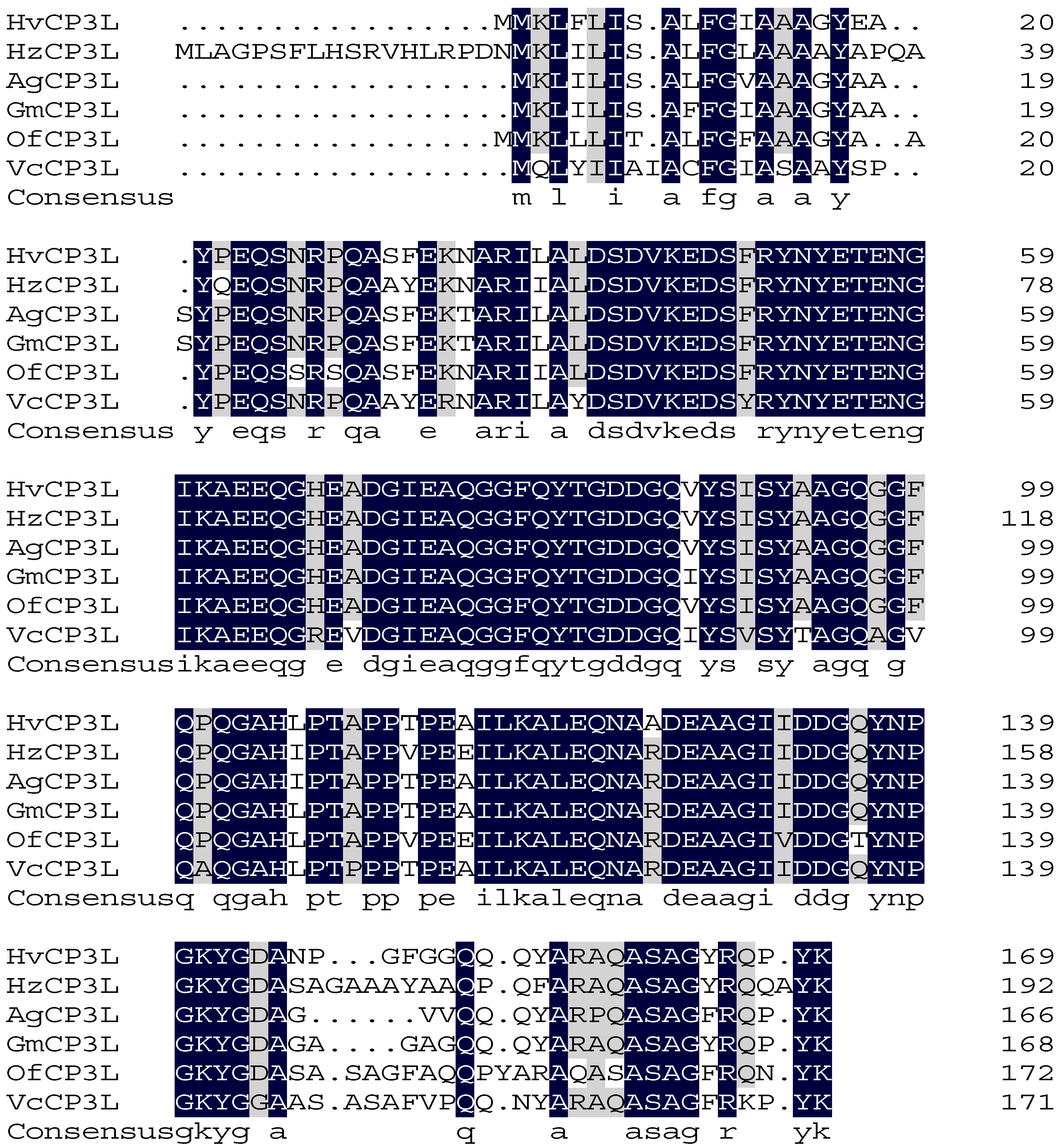 Insects 15 00362 g003