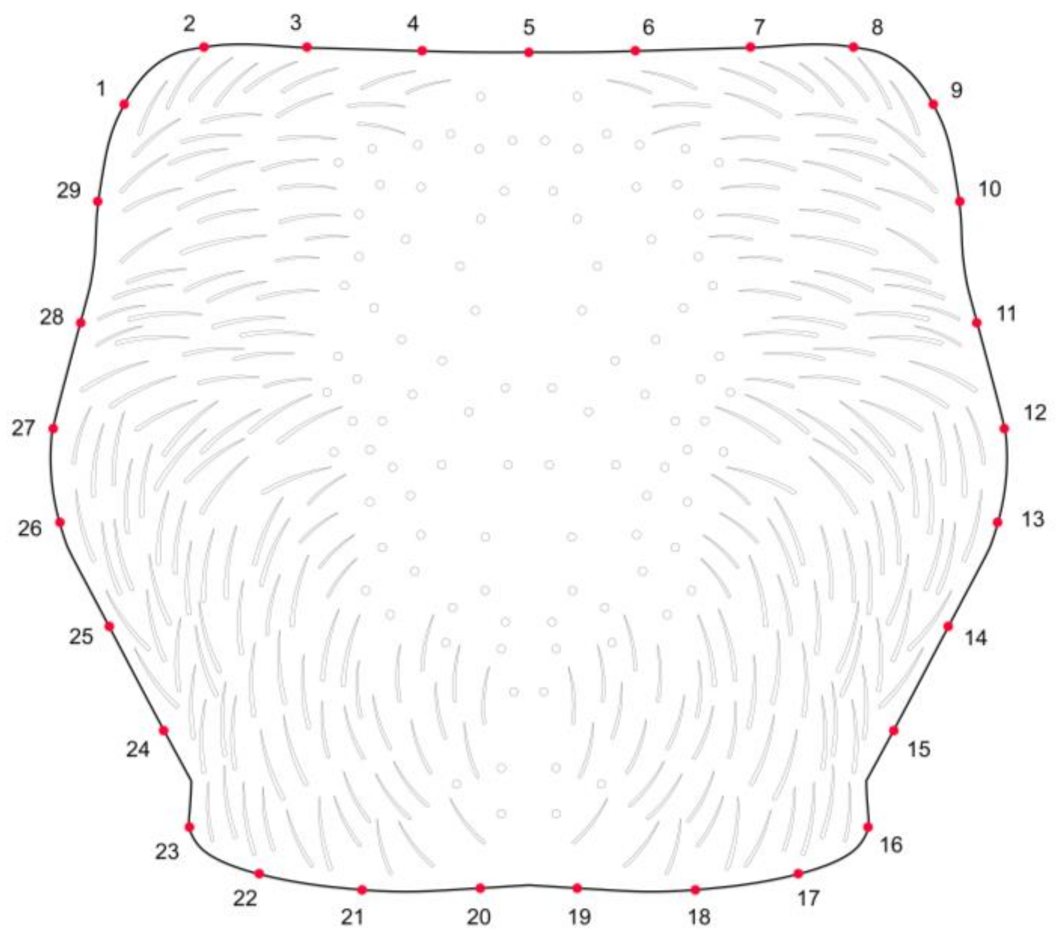 Insects 16 00386 g001