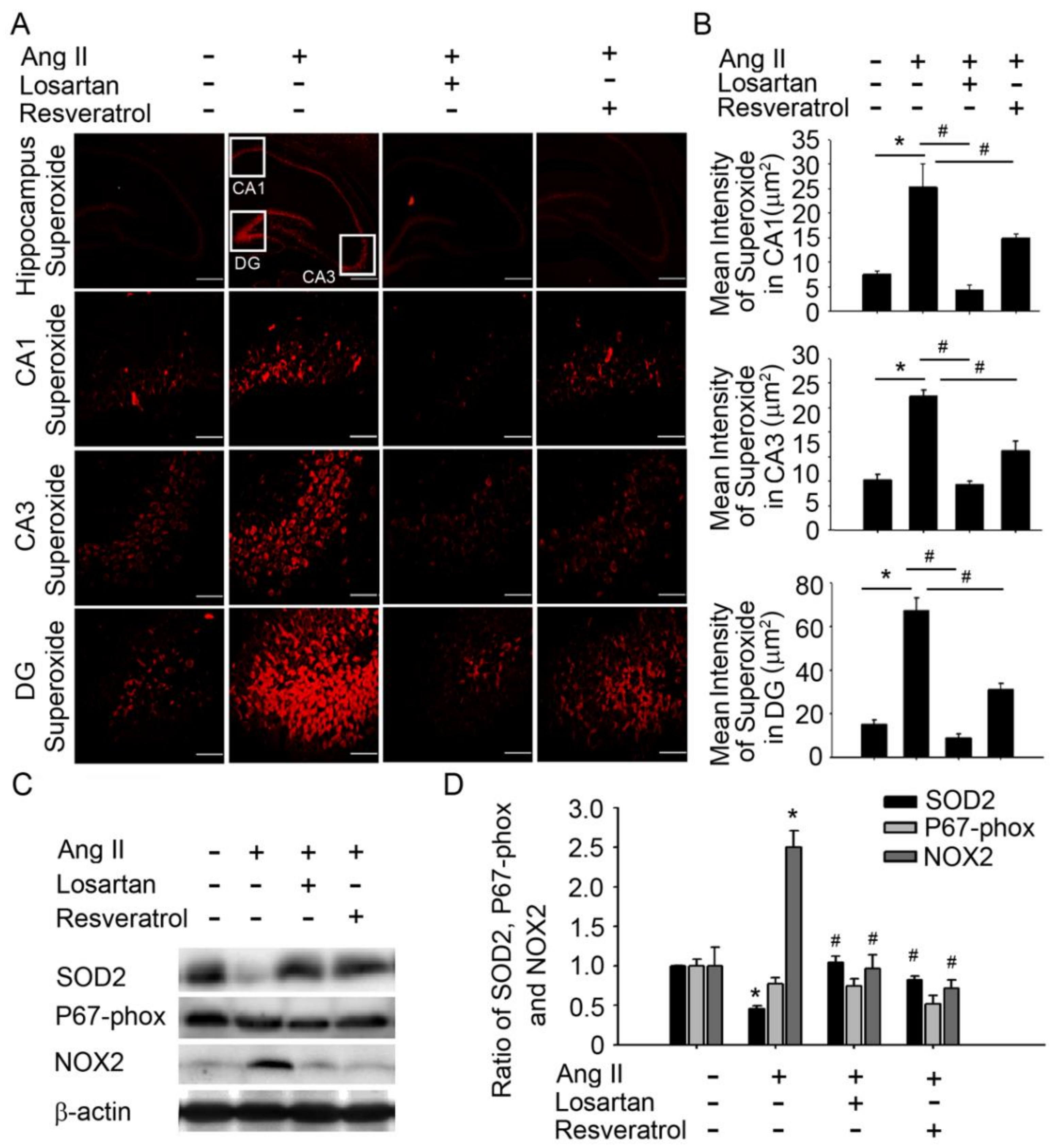 Jcm 07 00329 g002 Jcm 07 00329 g002