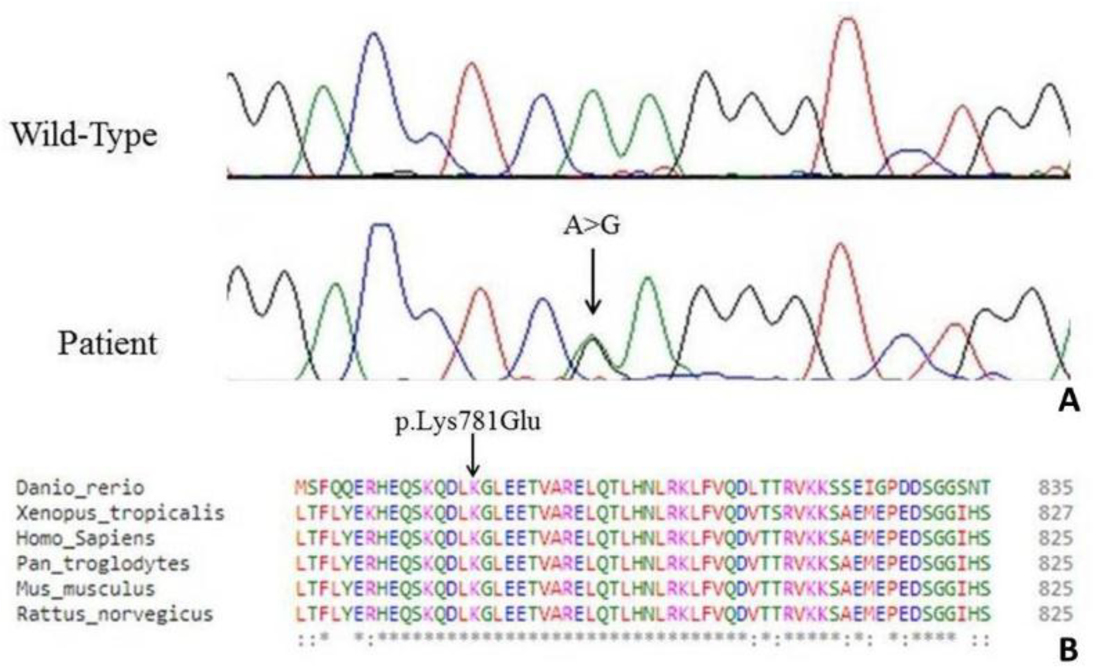 Jcm 08 00017 g002 Jcm 08 00017 g002