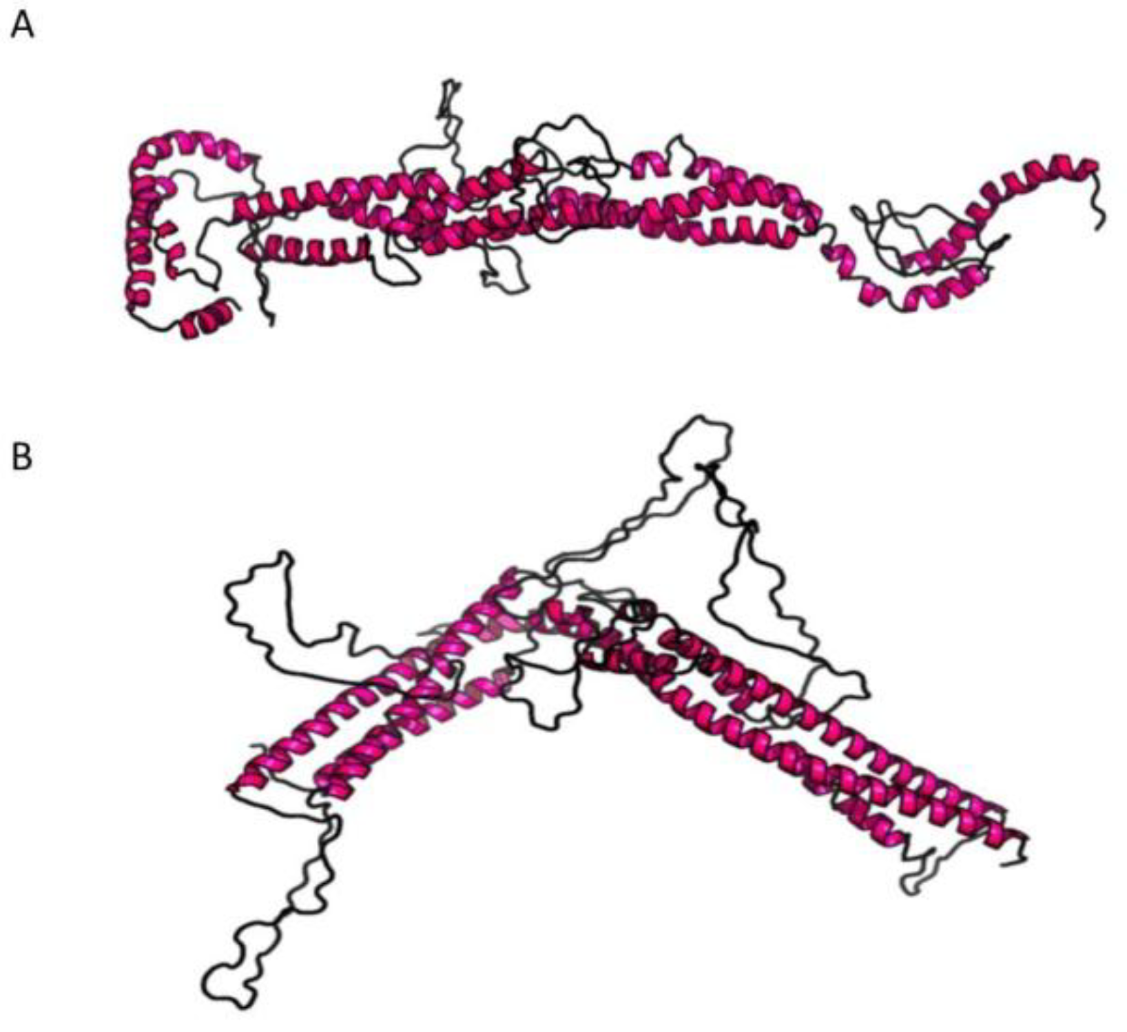 Jcm 08 00017 g003 Jcm 08 00017 g003