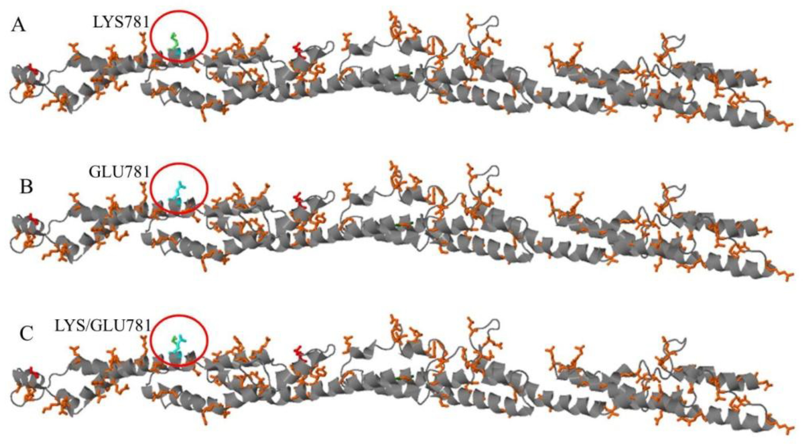 Jcm 08 00017 g004 Jcm 08 00017 g004