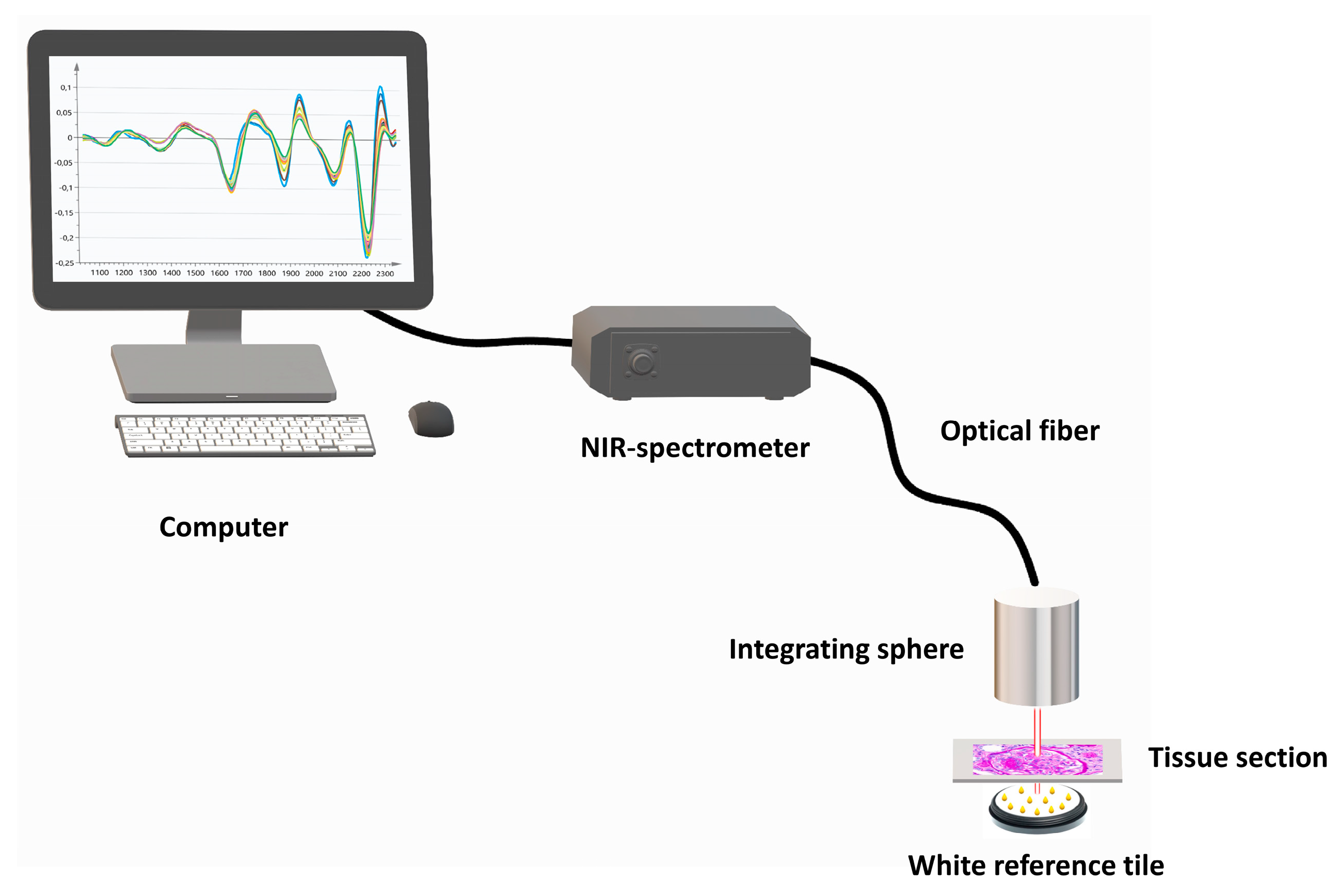 Jcm Free Full Text Detection And Characterization Of A Biochemical