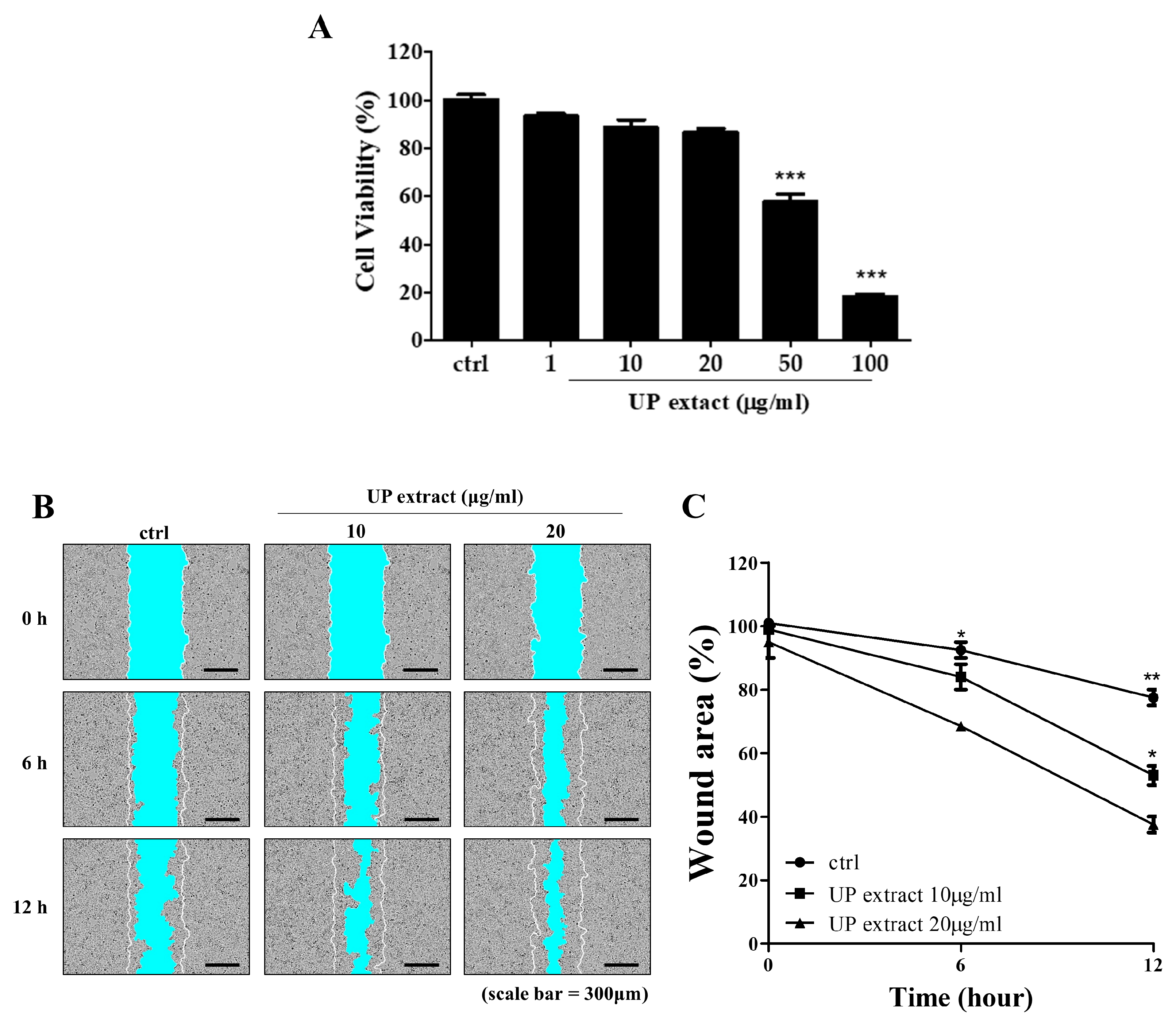 Jcm 09 00059 g002 Jcm 09 00059 g002