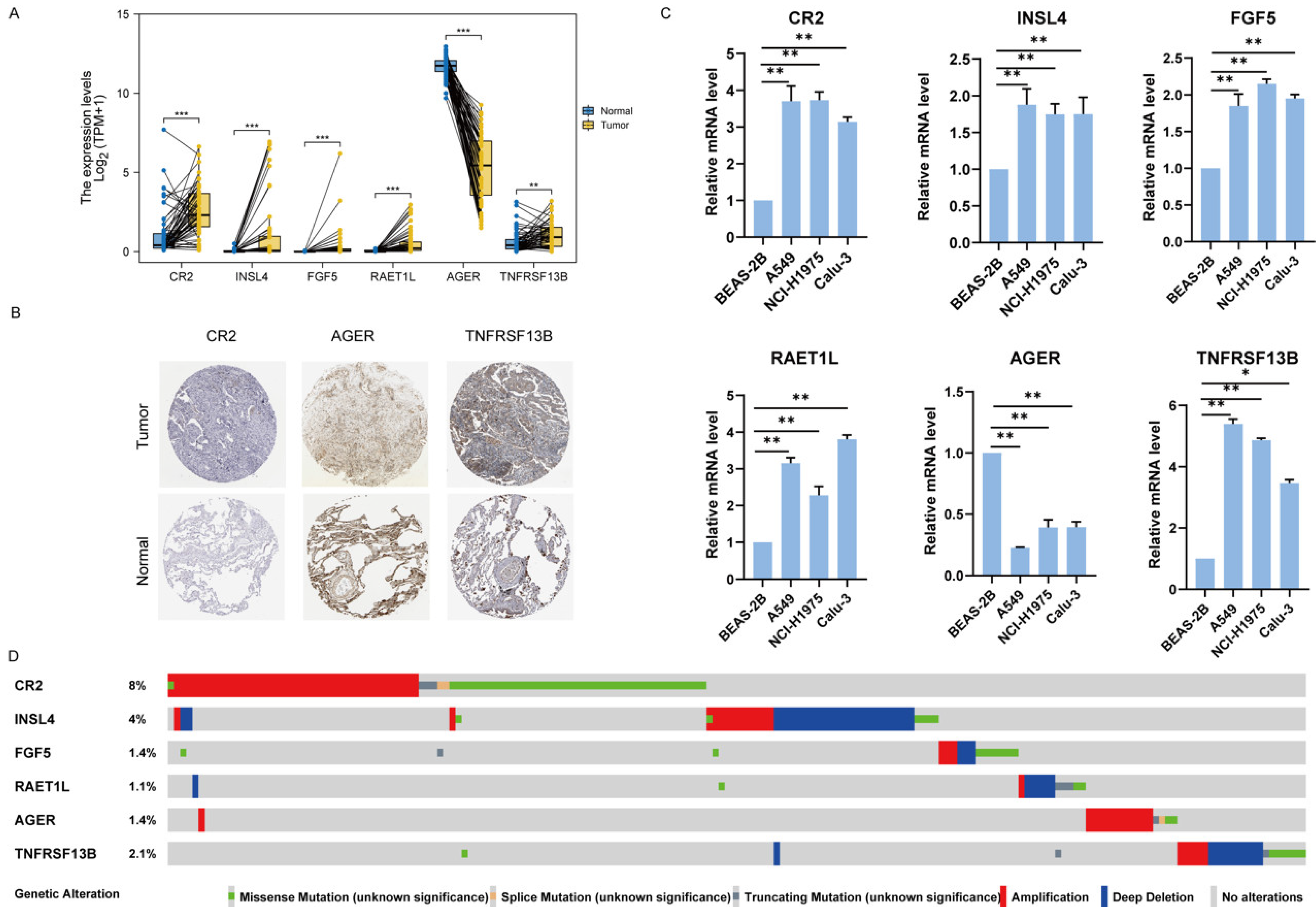 Jcm Free Full Text Comprehensive Analysis Of A Novel Immune Related