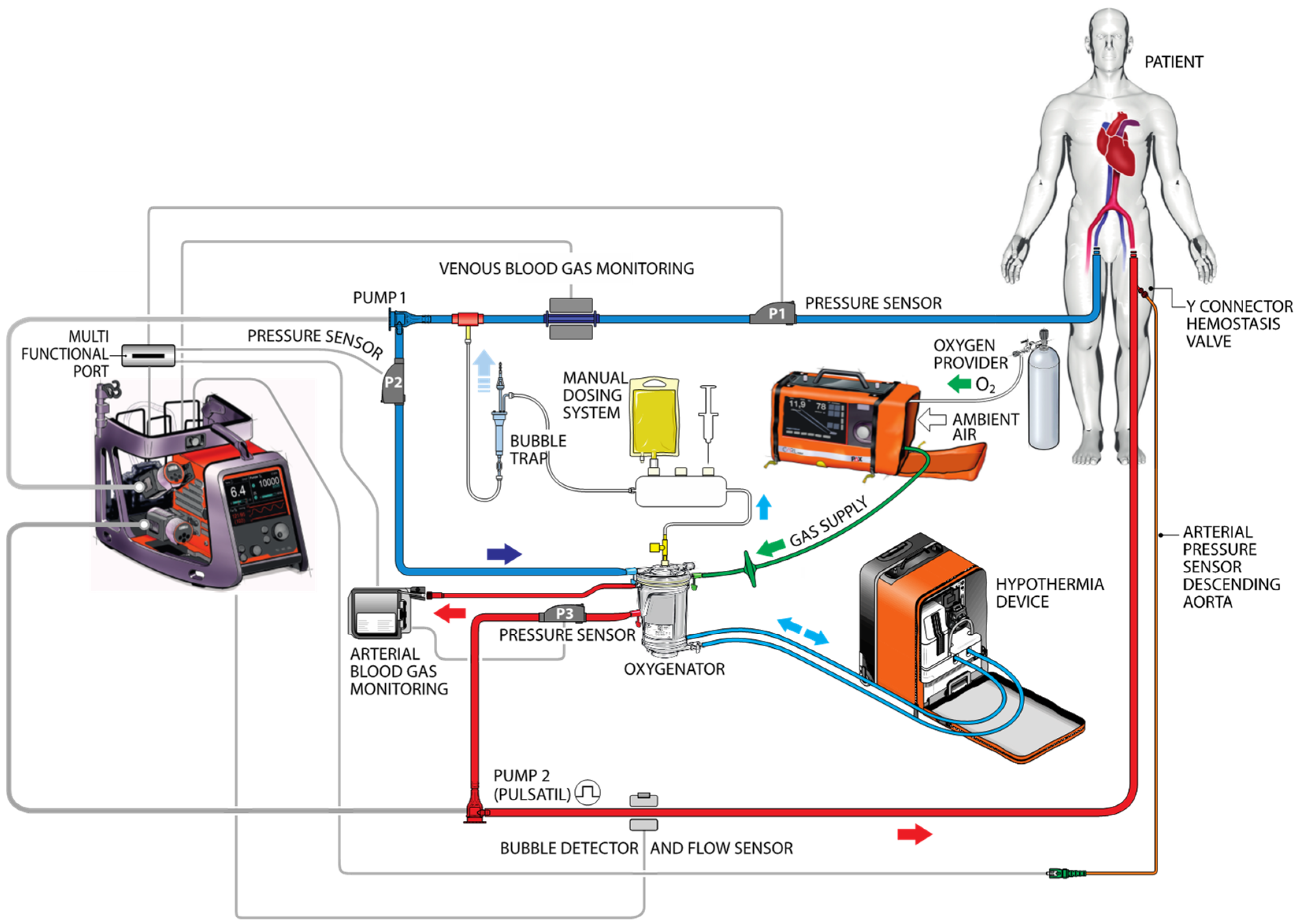 Jcm 13 00056 g001 Jcm 13 00056 g001