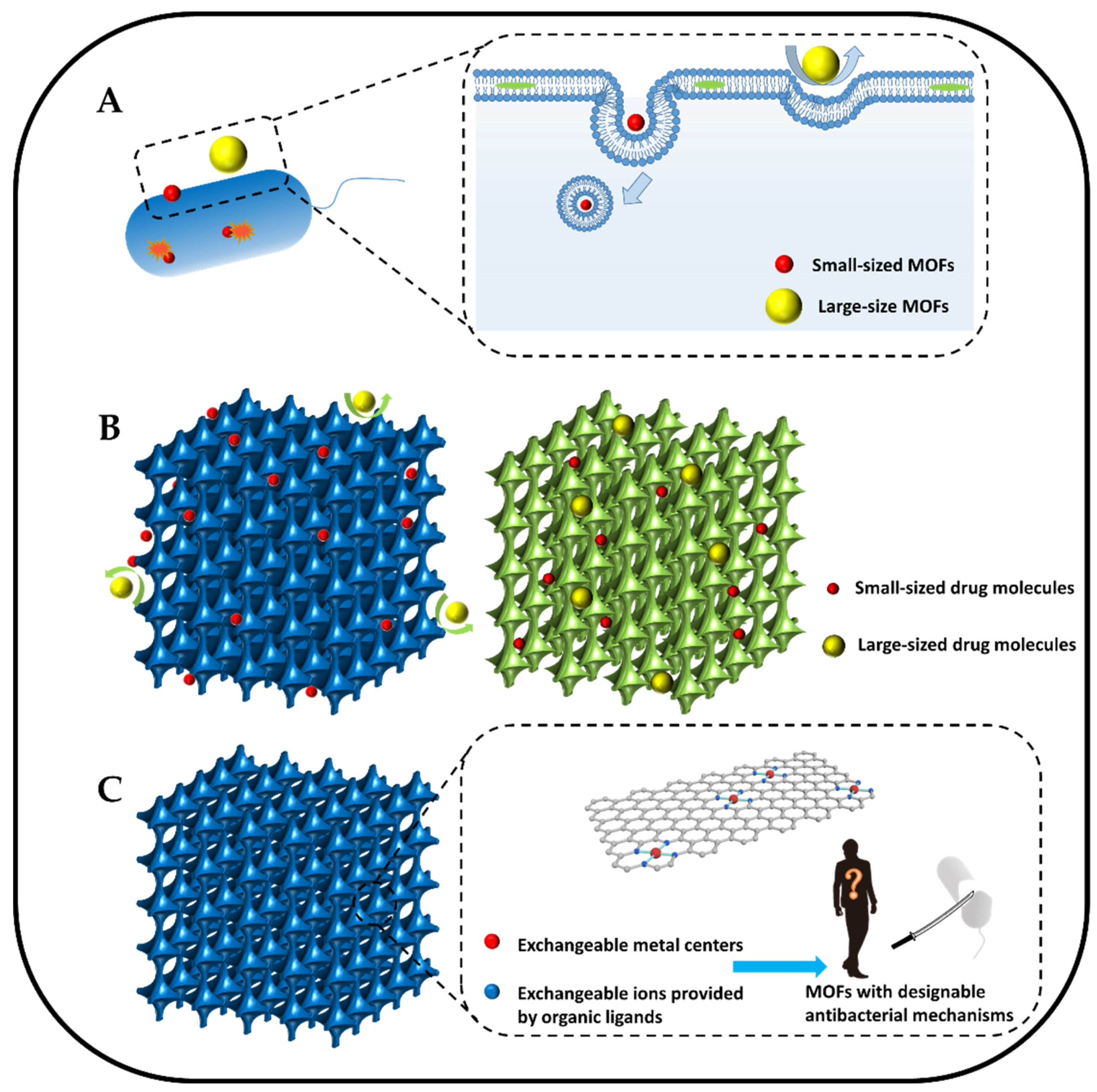 Jfb 13 00215 g004 Jfb 13 00215 g004