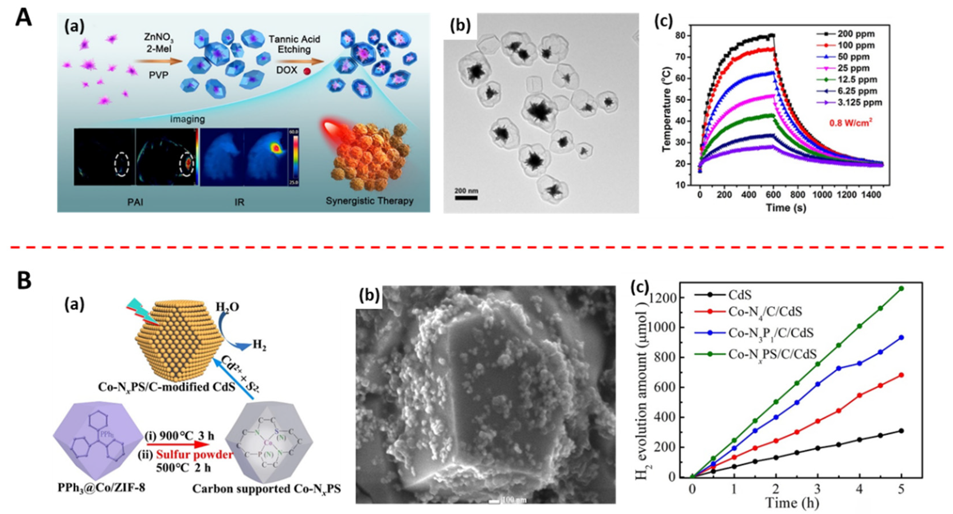 Jfb 13 00215 g005 Jfb 13 00215 g005