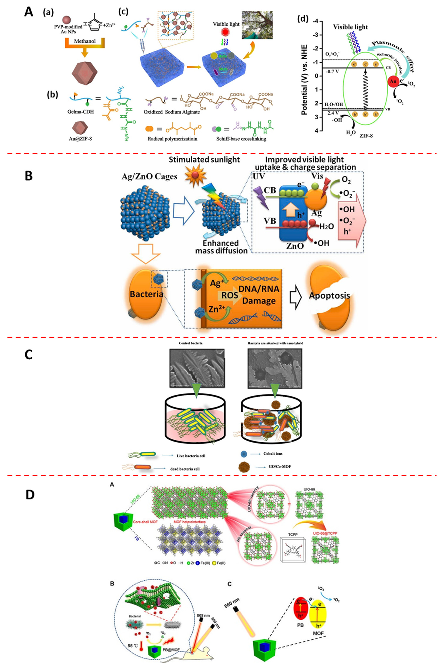 Jfb 13 00215 g006 Jfb 13 00215 g006